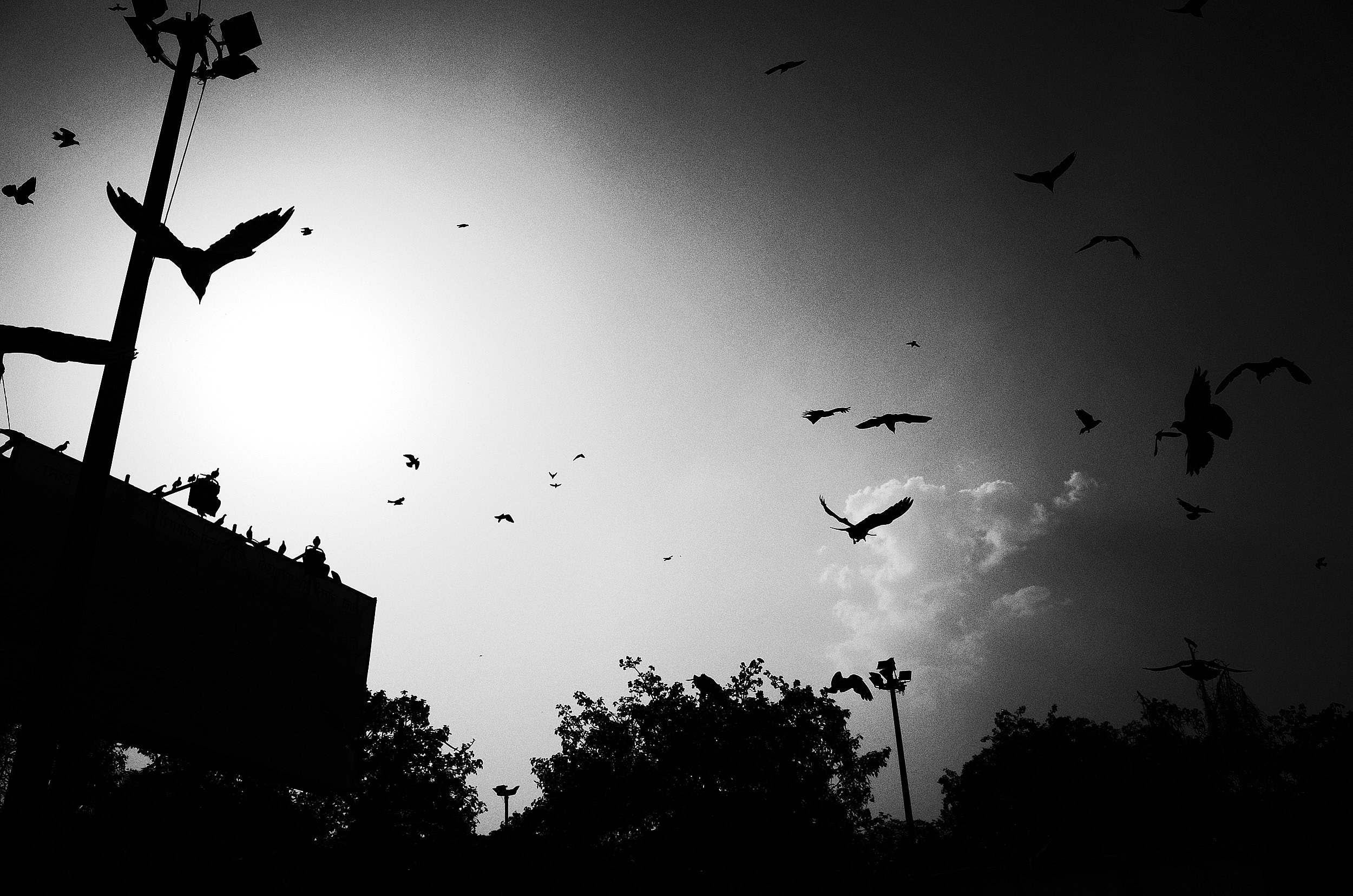 01-eli-dijkers-photography-a-hundred-small-mysteries.jpg