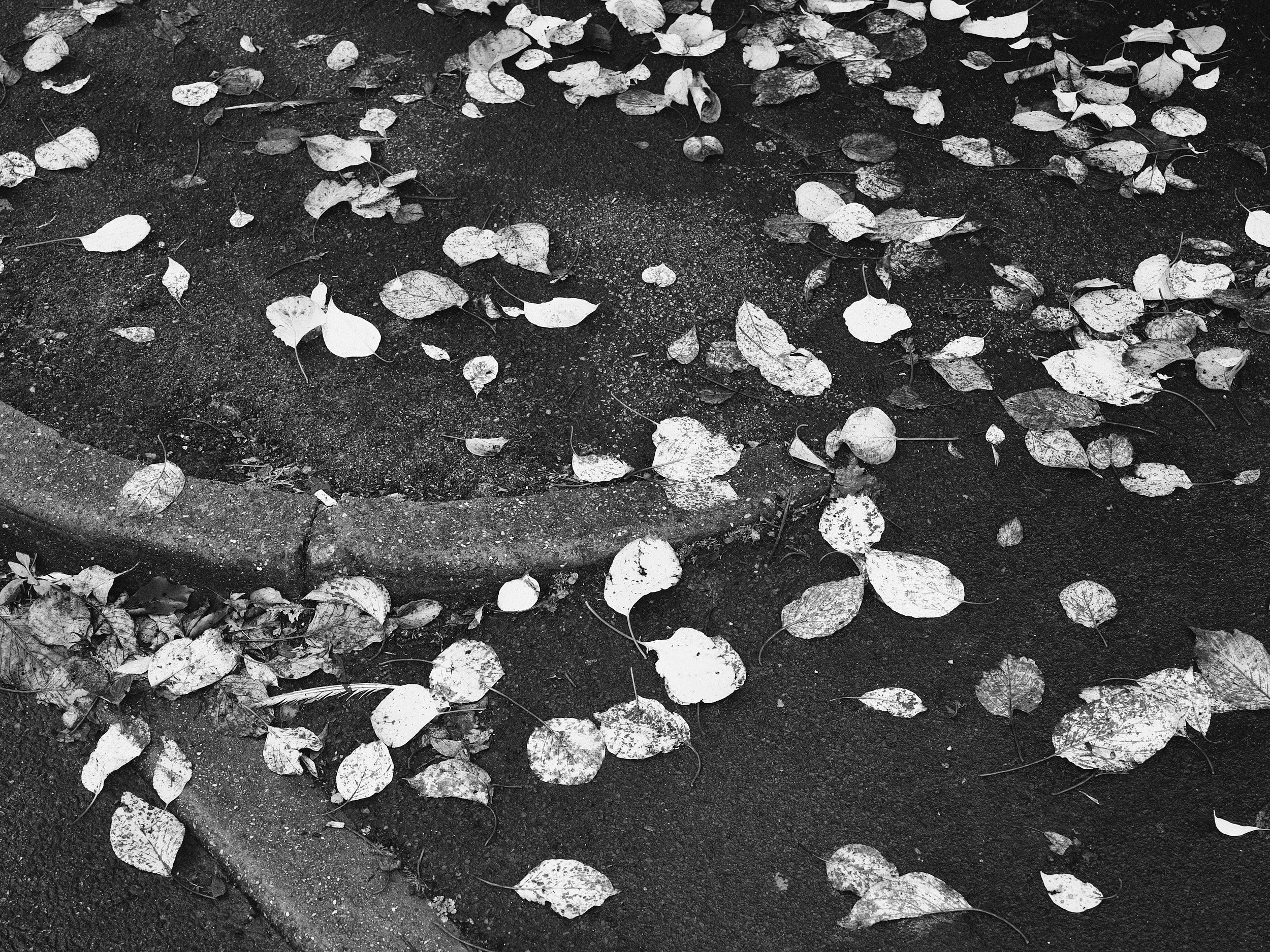 11-eli-dijkers-photography-A-Clot-in-Time-Birmingham-UK.jpg