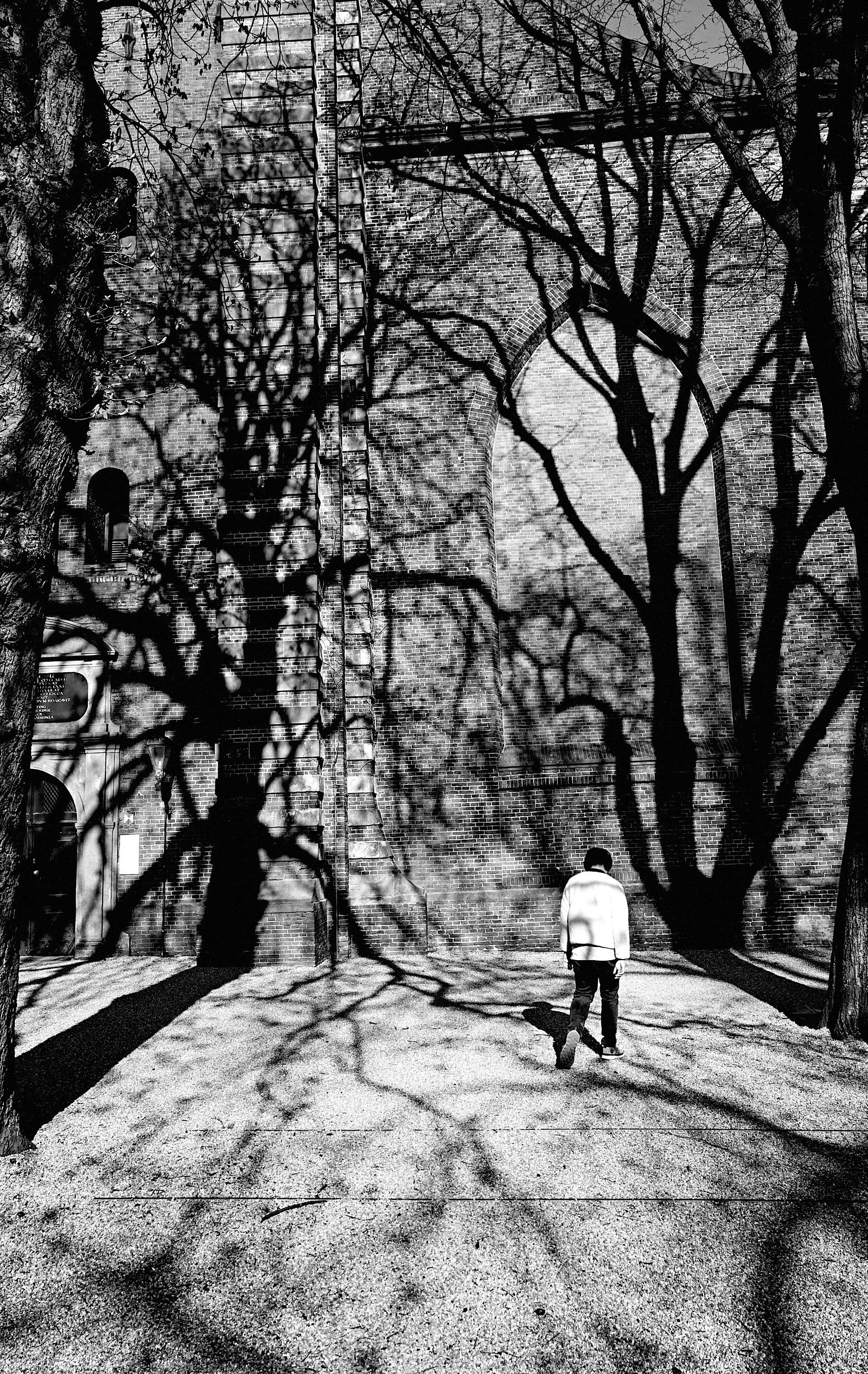 15-eli-dijkers-photography-Groningen-The-Netherlands.jpg