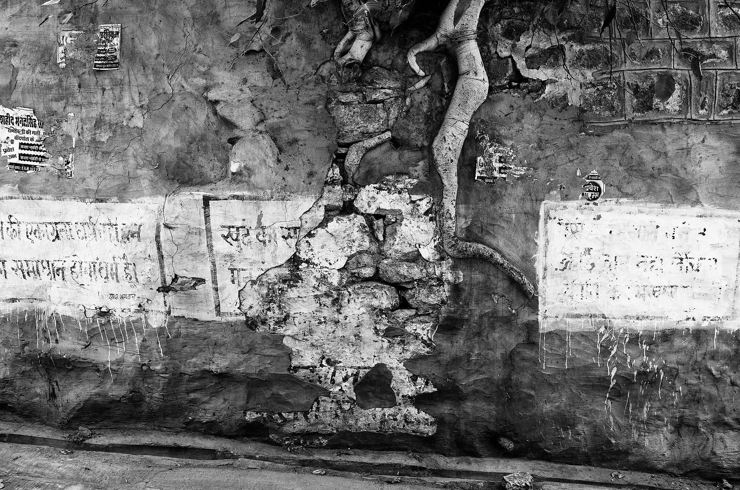 10-eli-dijkers-photography-a-hundred-small-mysteries.jpg