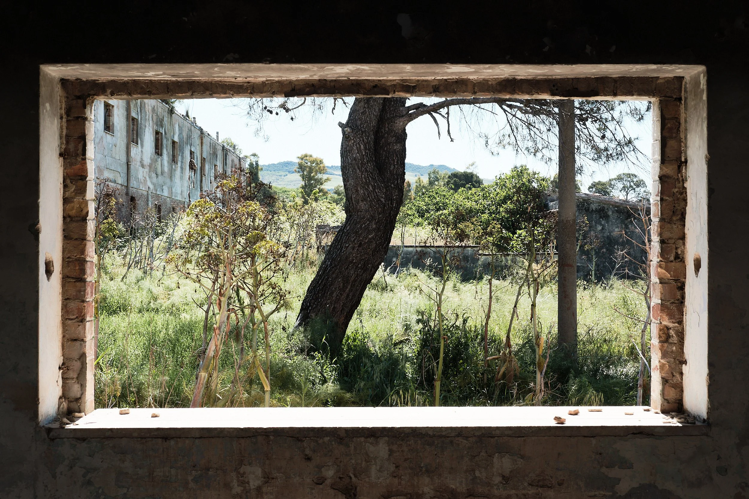 01-eli-dijkers-photography-Tarsus-Basilicata-Italy.jpg
