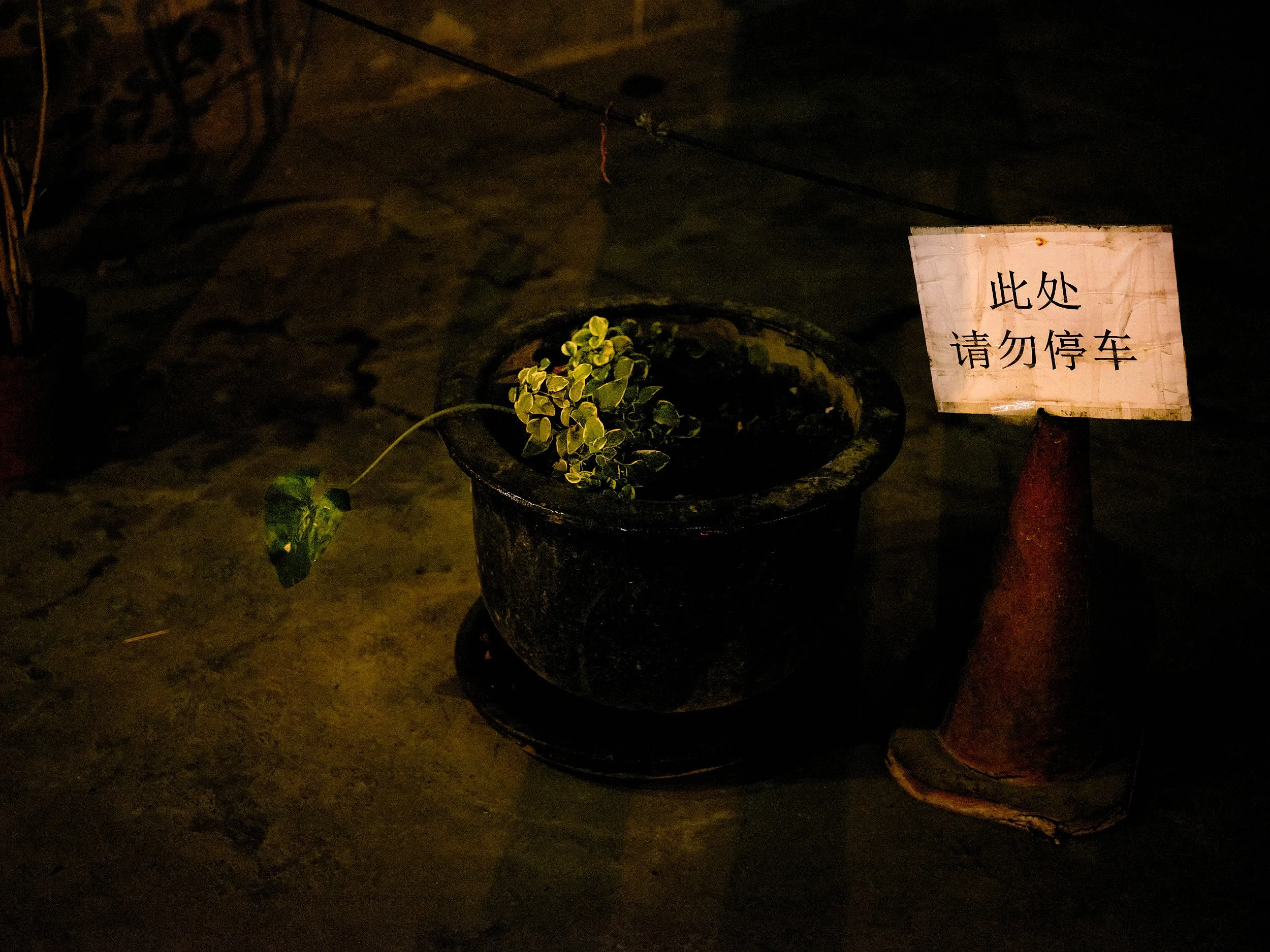 20-eli-dijkers-photography-are-you-rich-today-shanghai-china.jpg