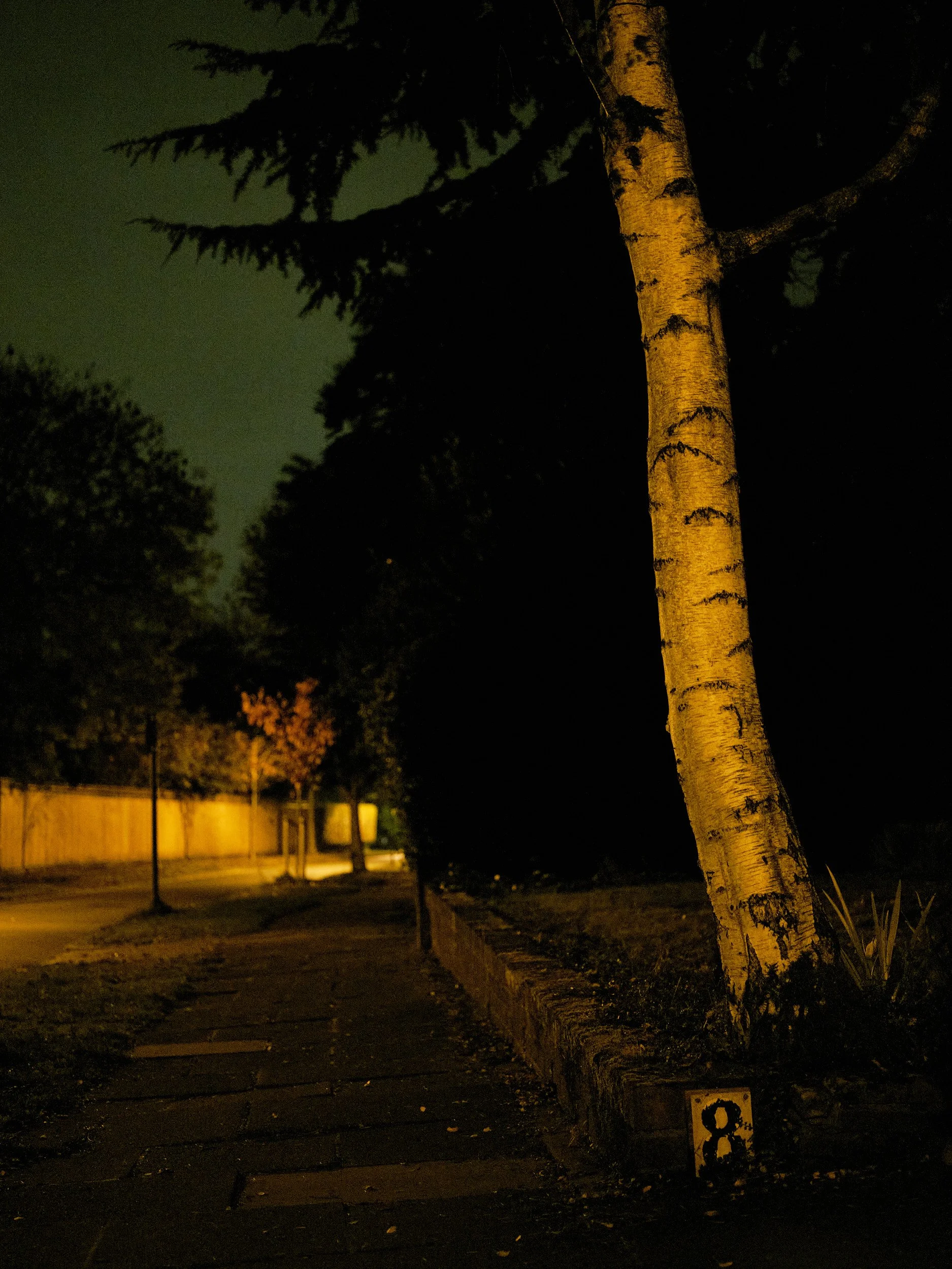 06-eli-dijkers-photography-A-Clot-in-Time-Birmingham-UK.jpg