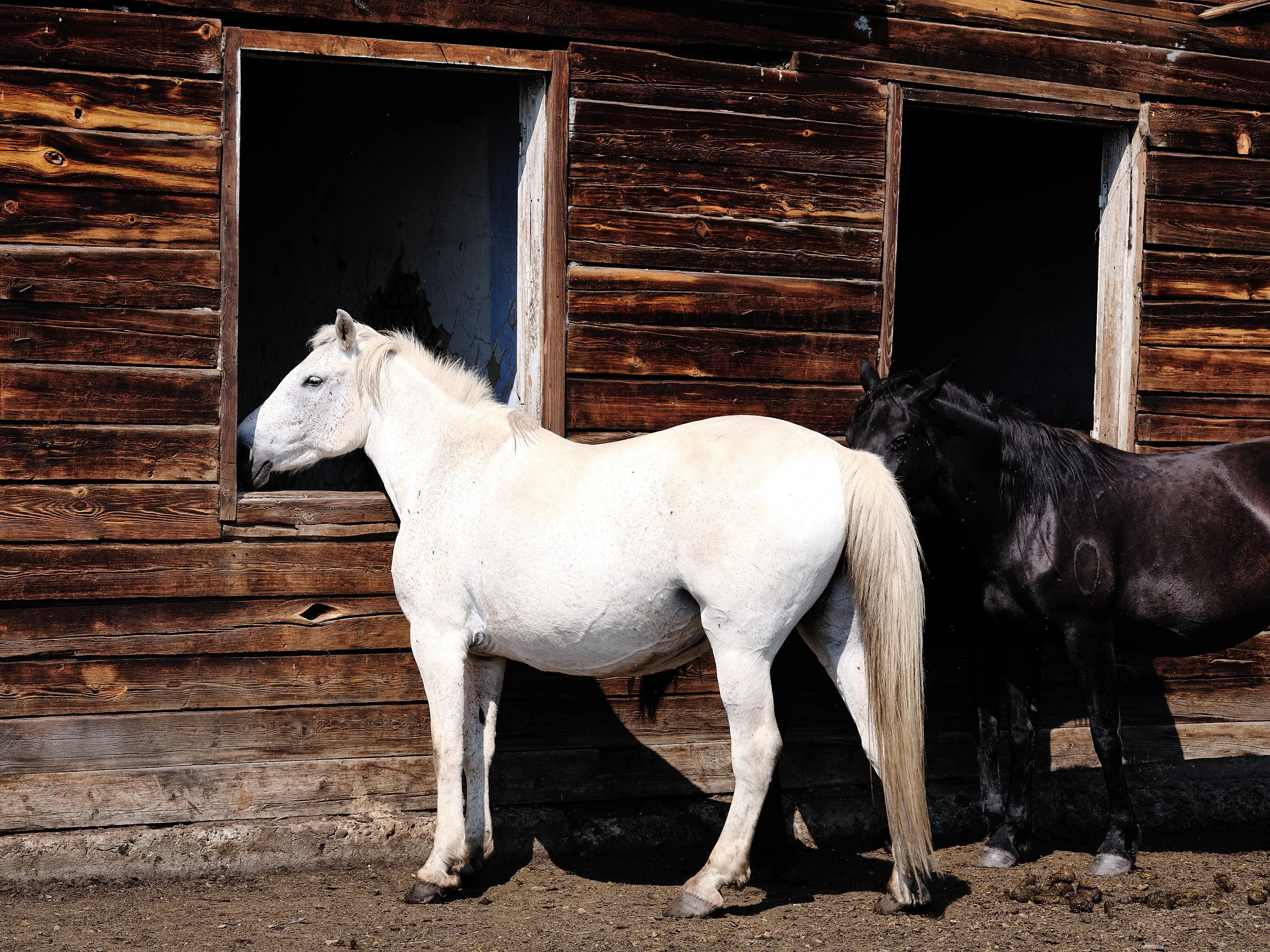 04-eli-dijkers-photography-Siberia-russia.jpg