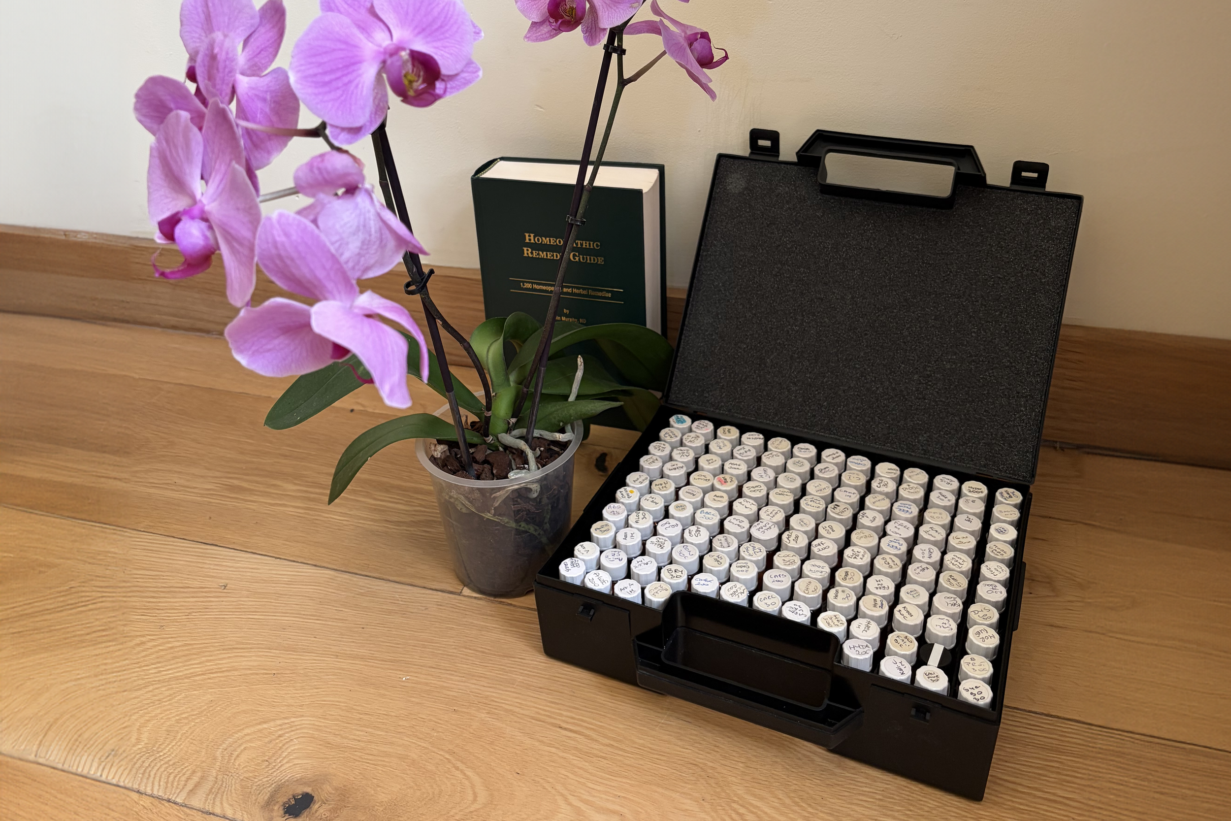 homeopathy remedies and handbook