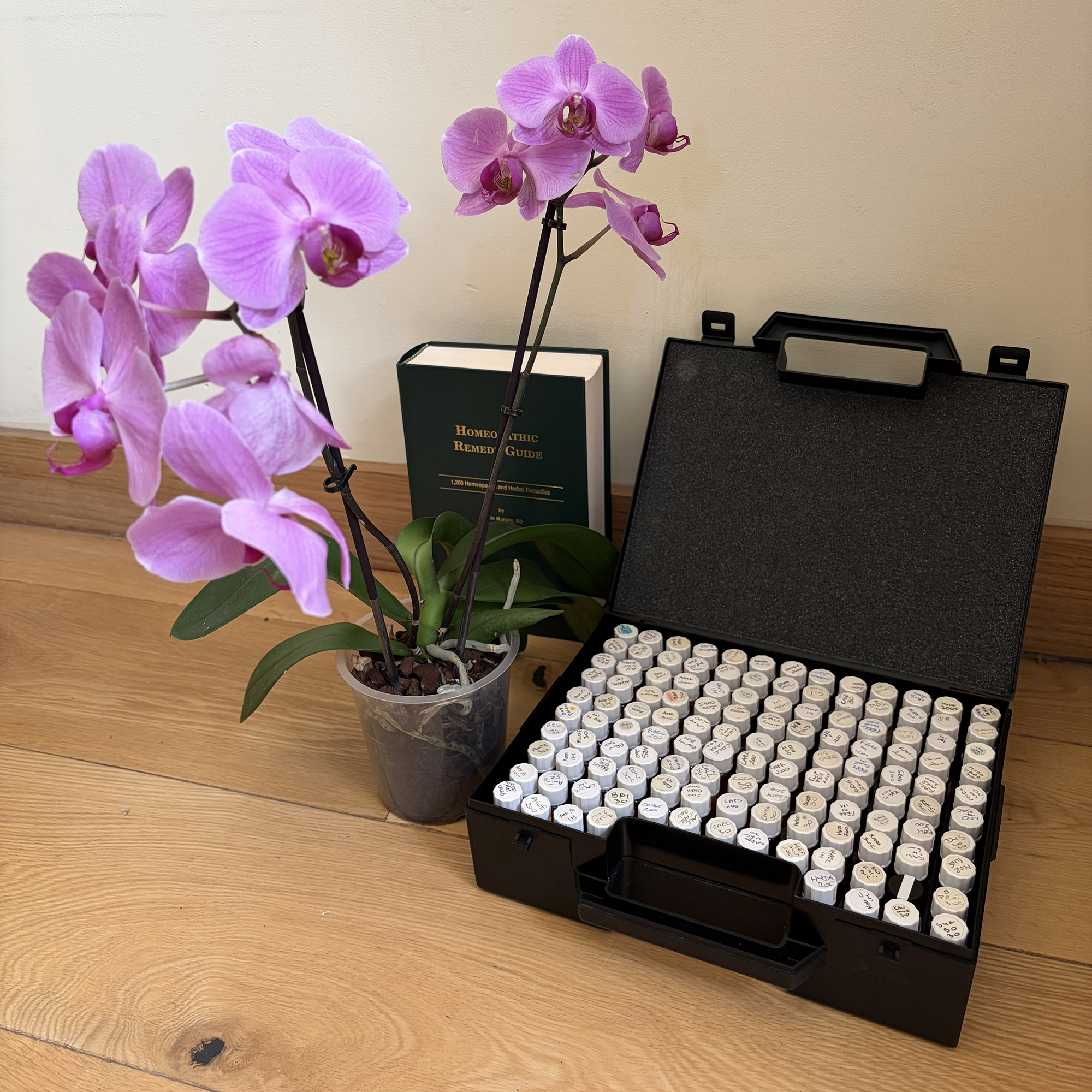 Homeopathy kit with remedy guide book