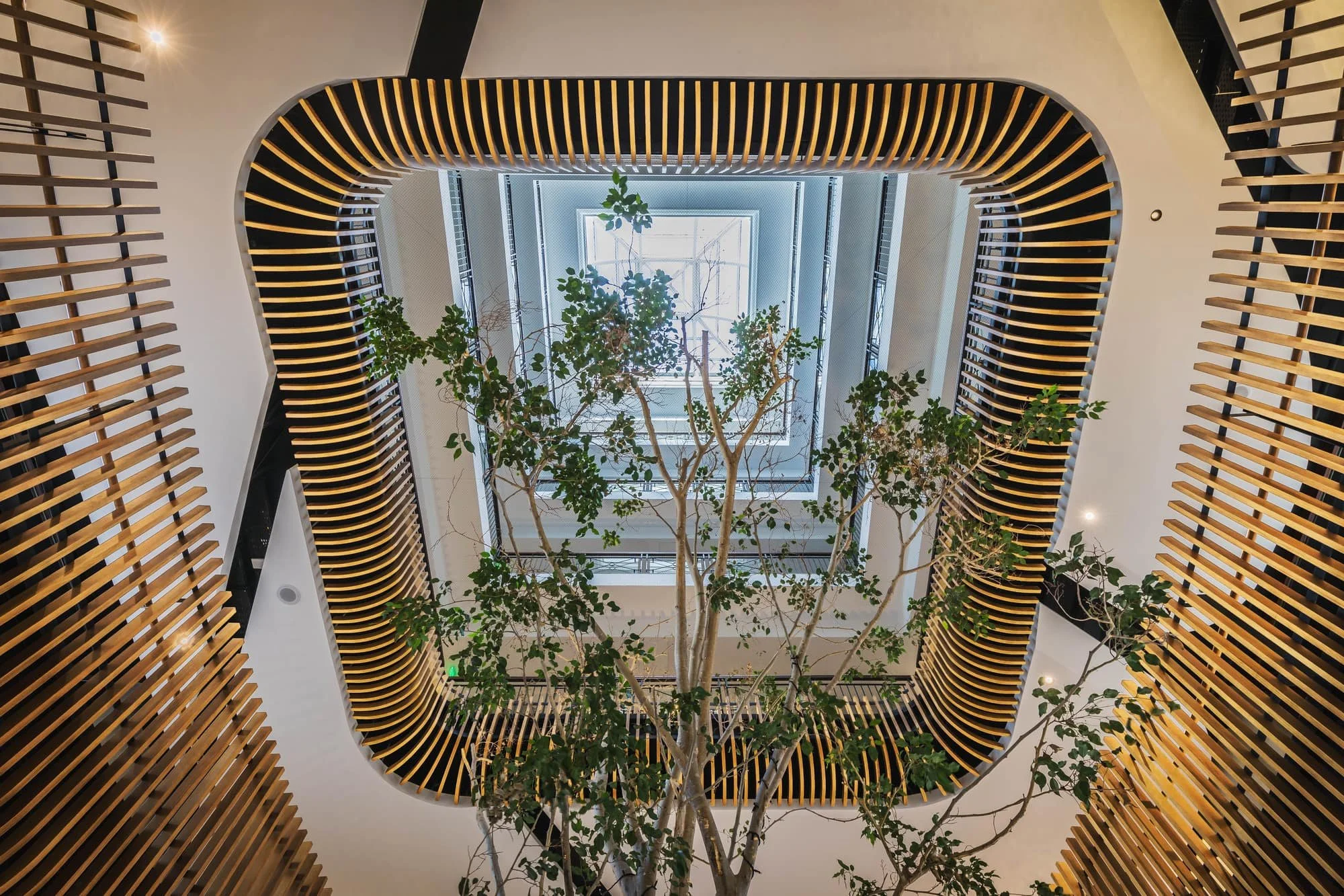 Le Caudan, Mauritius — vertical view of the atrium and timber-lined skylight.