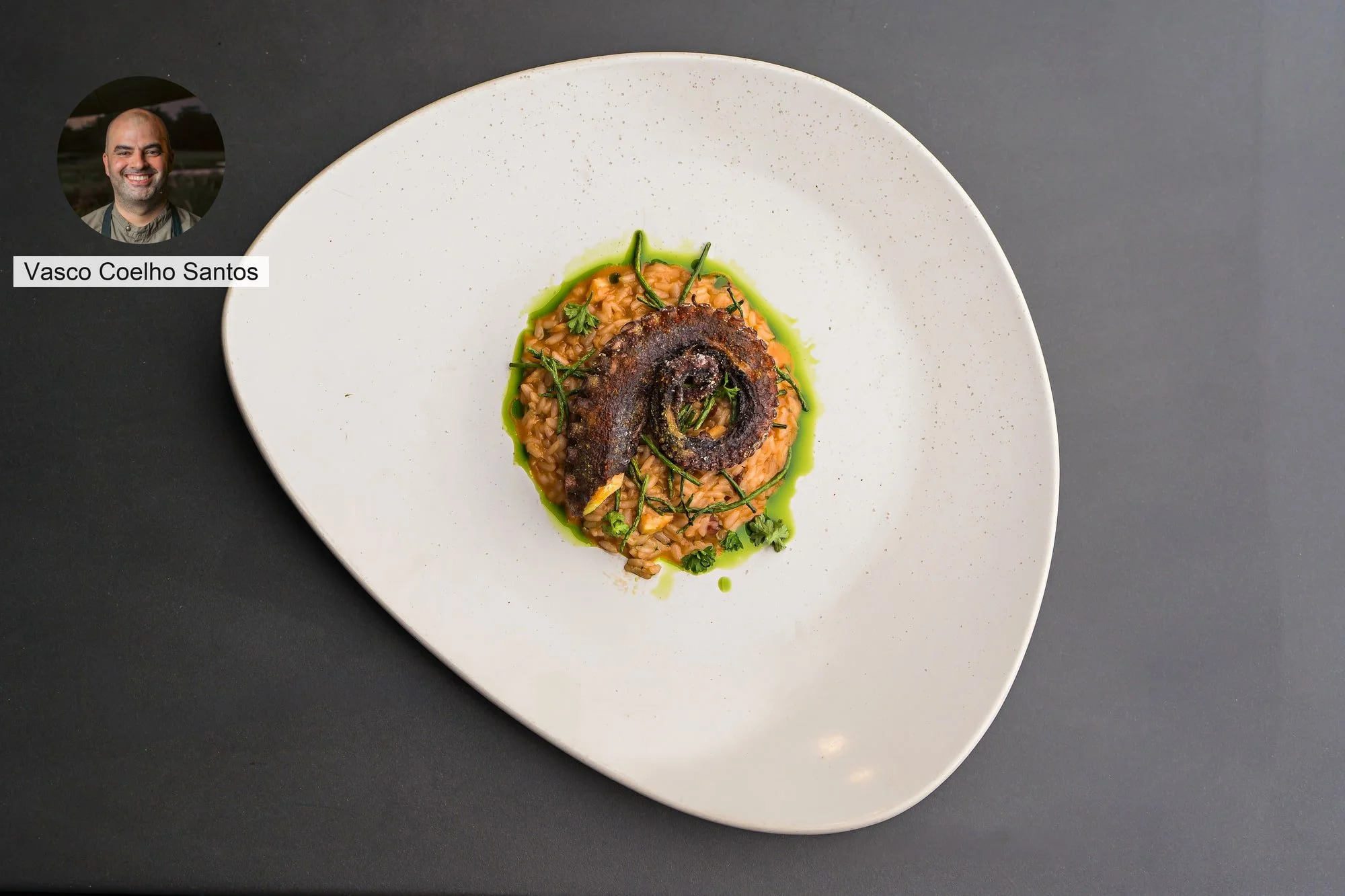 Octopus with green sauce by chef Vasco Coelho Santos, presented on a white plate.