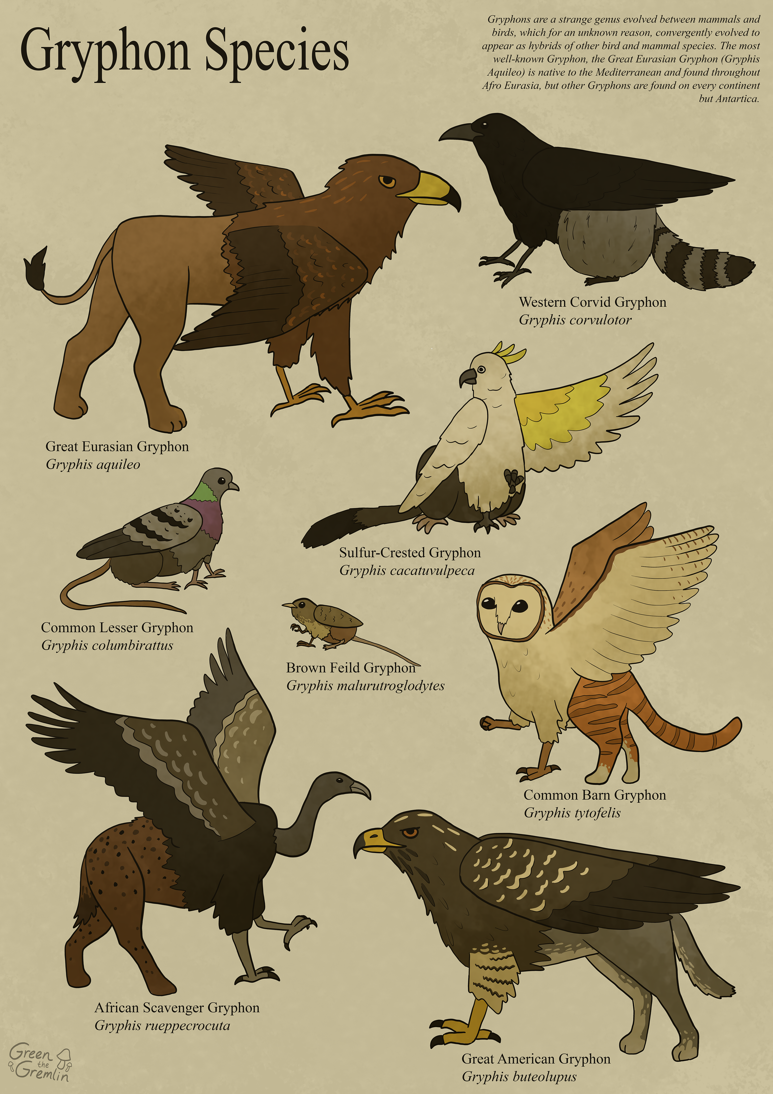 Gryphon Poster