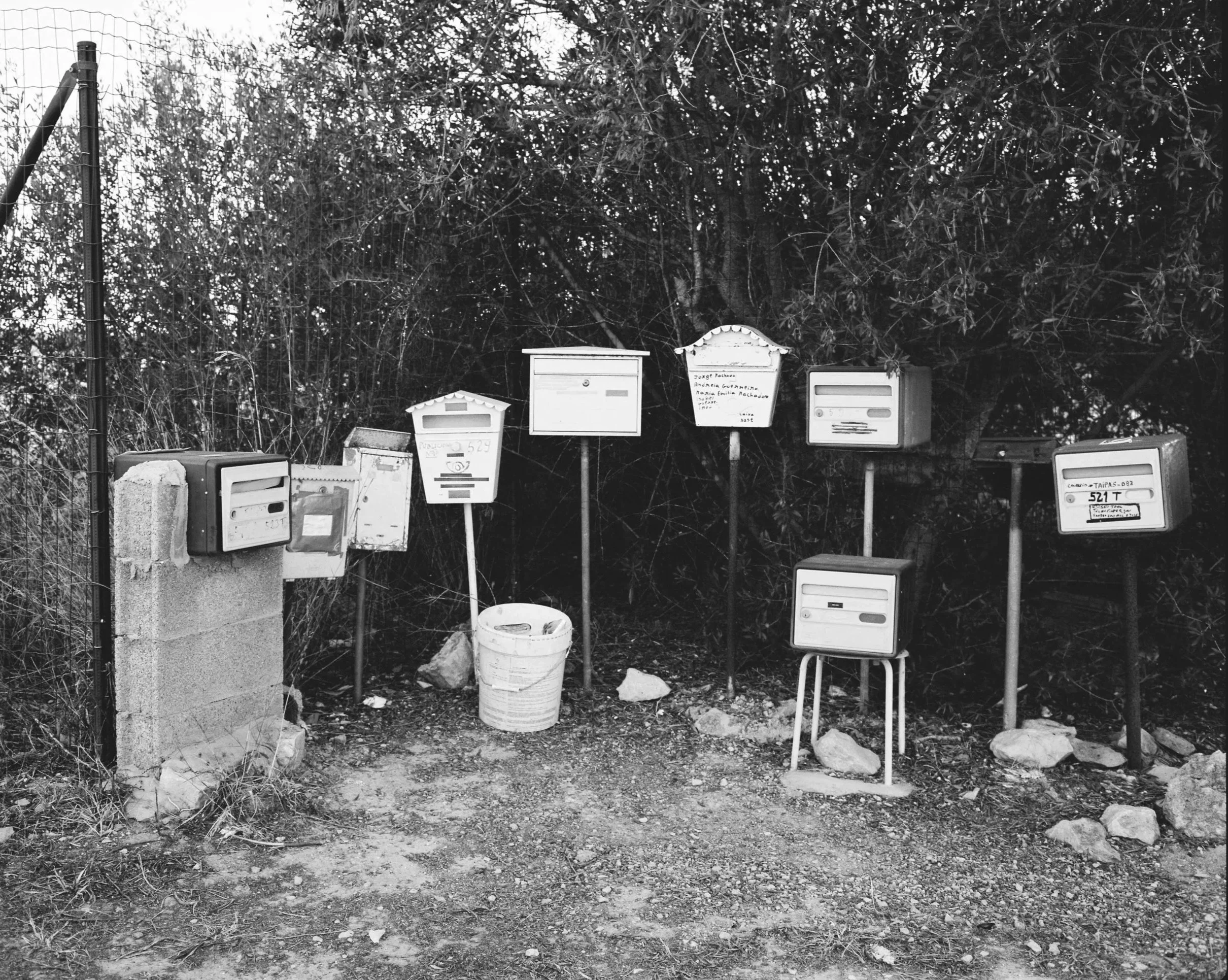 Black and white photo of multiple mailboxes mounted on posts outside, with a wire fence and a background of trees and bushy foliage.
