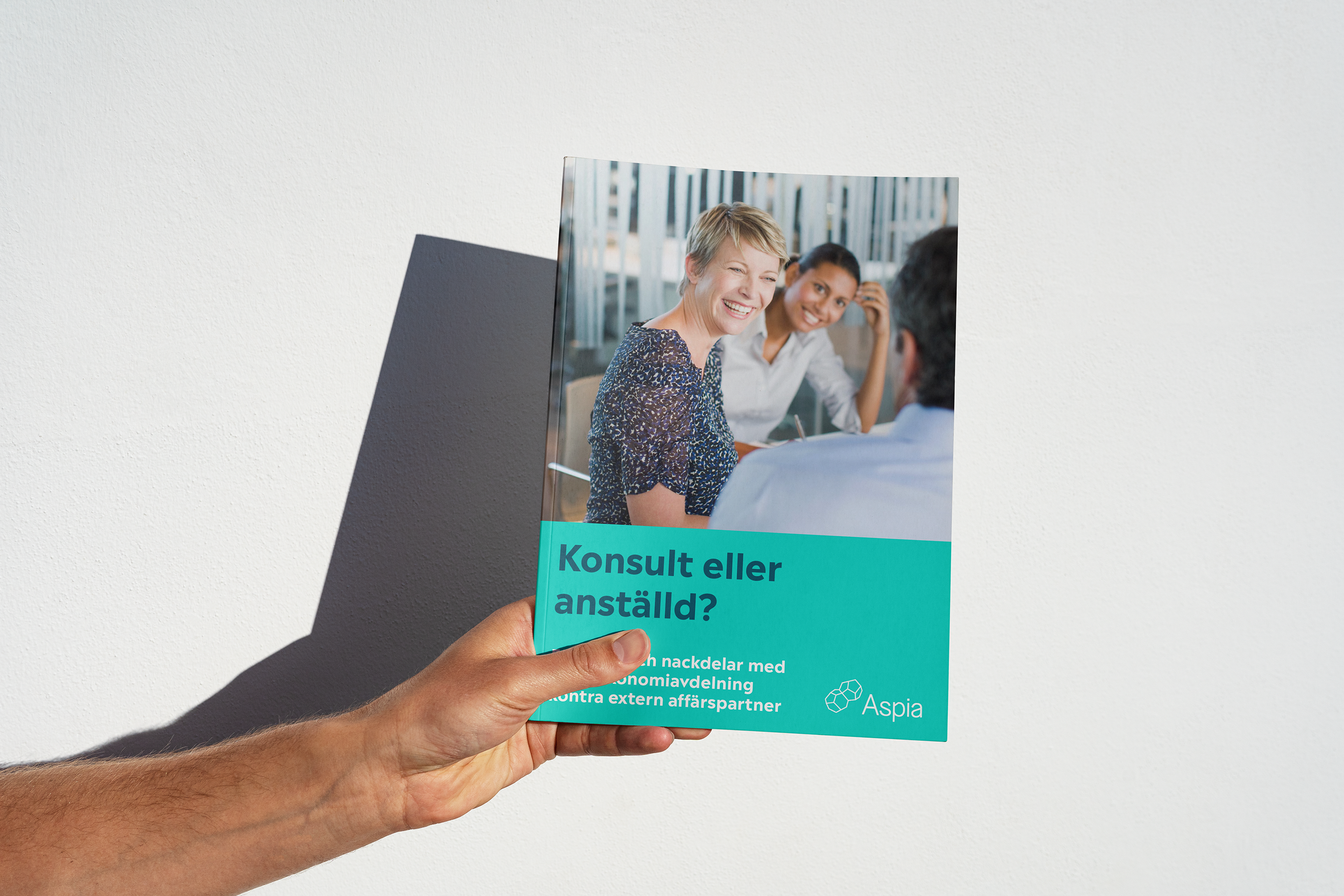 Premiumcontent för stor B2B-konsult  
