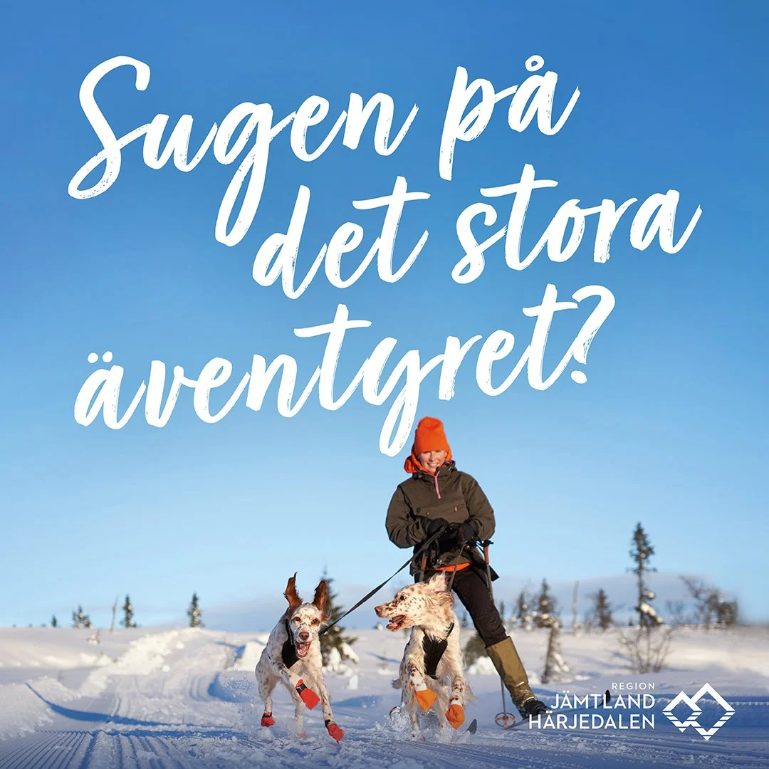 Flyttkampanj för Jämtland/Härjedalen