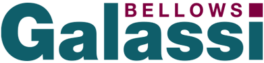 Logo BELLOWE GALLASI