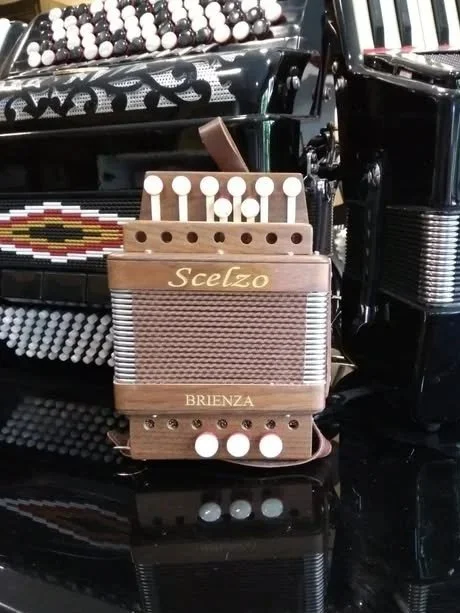 Un organetto di legno con le parole "Scelzo" e "Brienza" scritto sopra, circondato da strumenti musicali come un pianoforte e un accordi AB a colori
