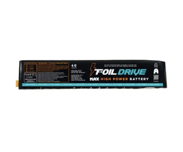 Assist MaX High Power Battery