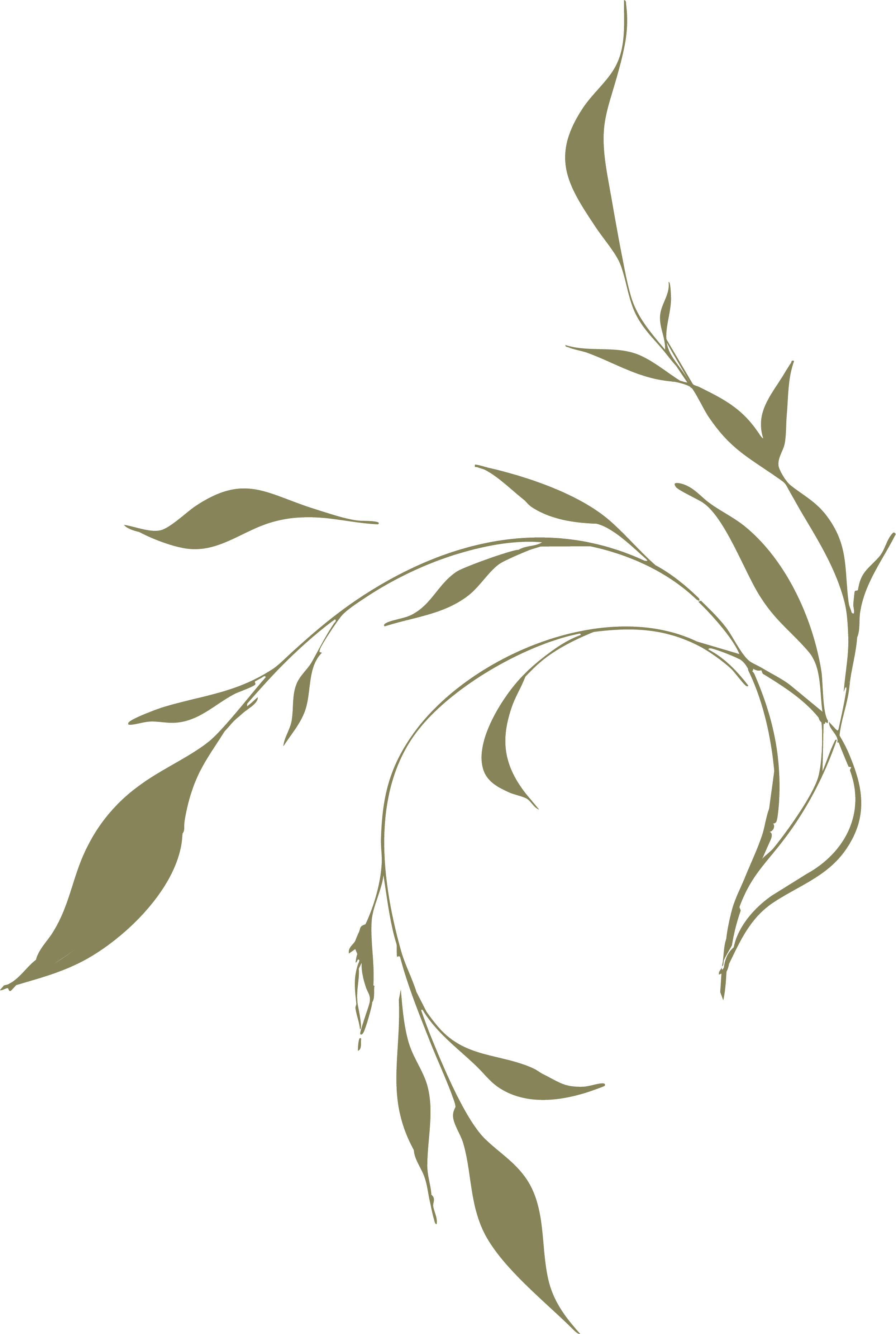 A digital illustration of a botanical design featuring flowing vines with elongated leaves in muted olive green on a black background.