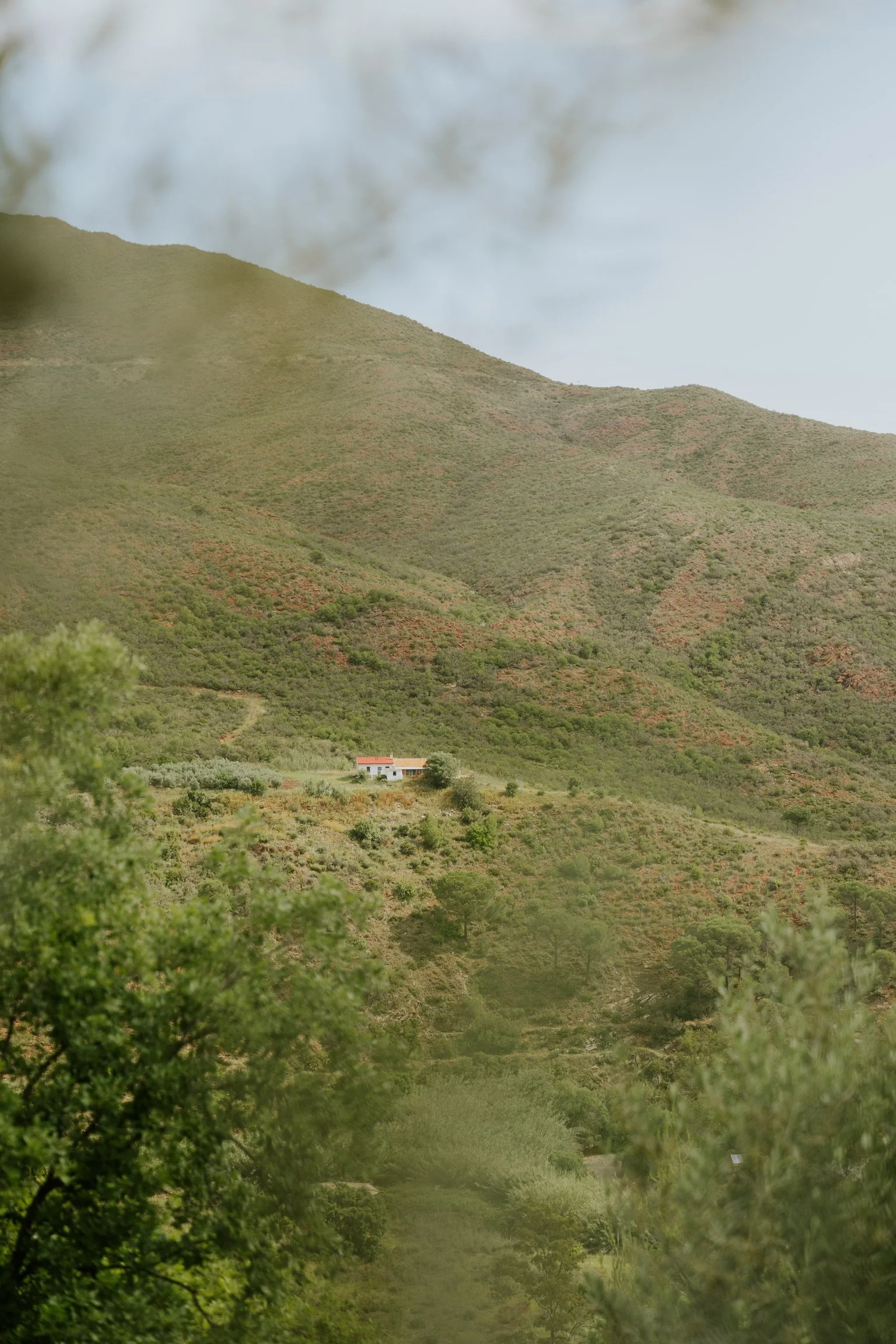 A house is situated at the base of green hills in a mountainous landscape, with some trees and vegetation in the foreground.