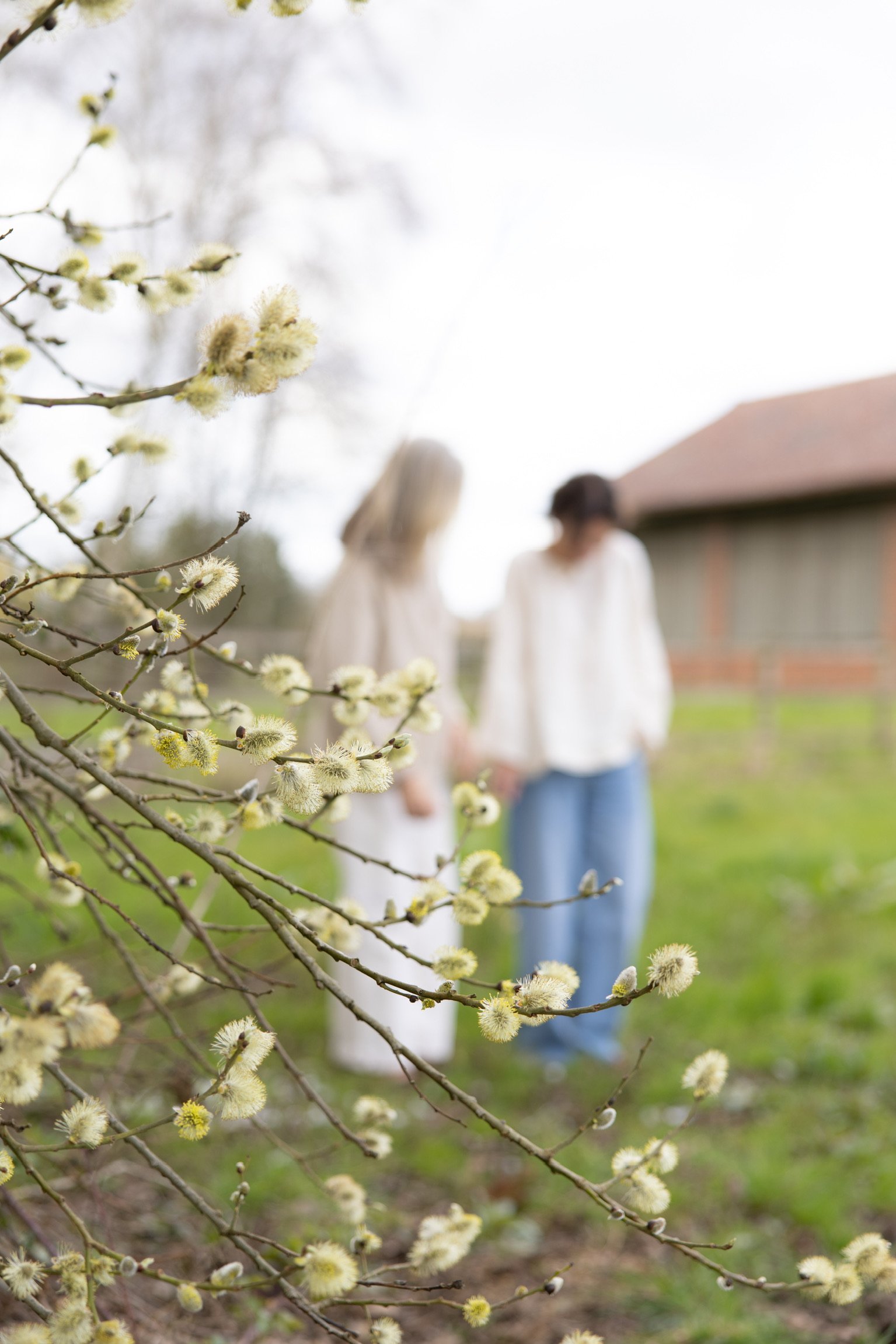 Close-up of pussy willow branches with cream-colored catkins in the foreground, two women holding hands in the background, slightly out of focus, standing outdoors near a house with a brown roof.