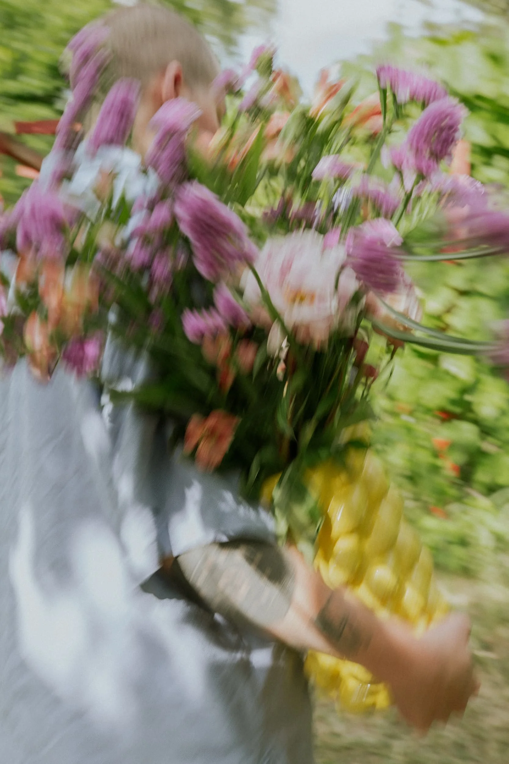 Bunte Blumen, hauptsächlich pink und gelb, werden gehalten und blühen in einem Garten.