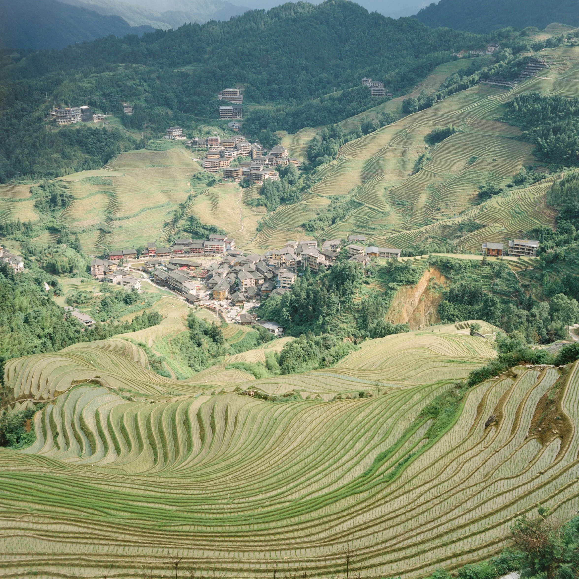 Terraced rice fields on a green hillside with clusters of buildings and forested mountains in the background.