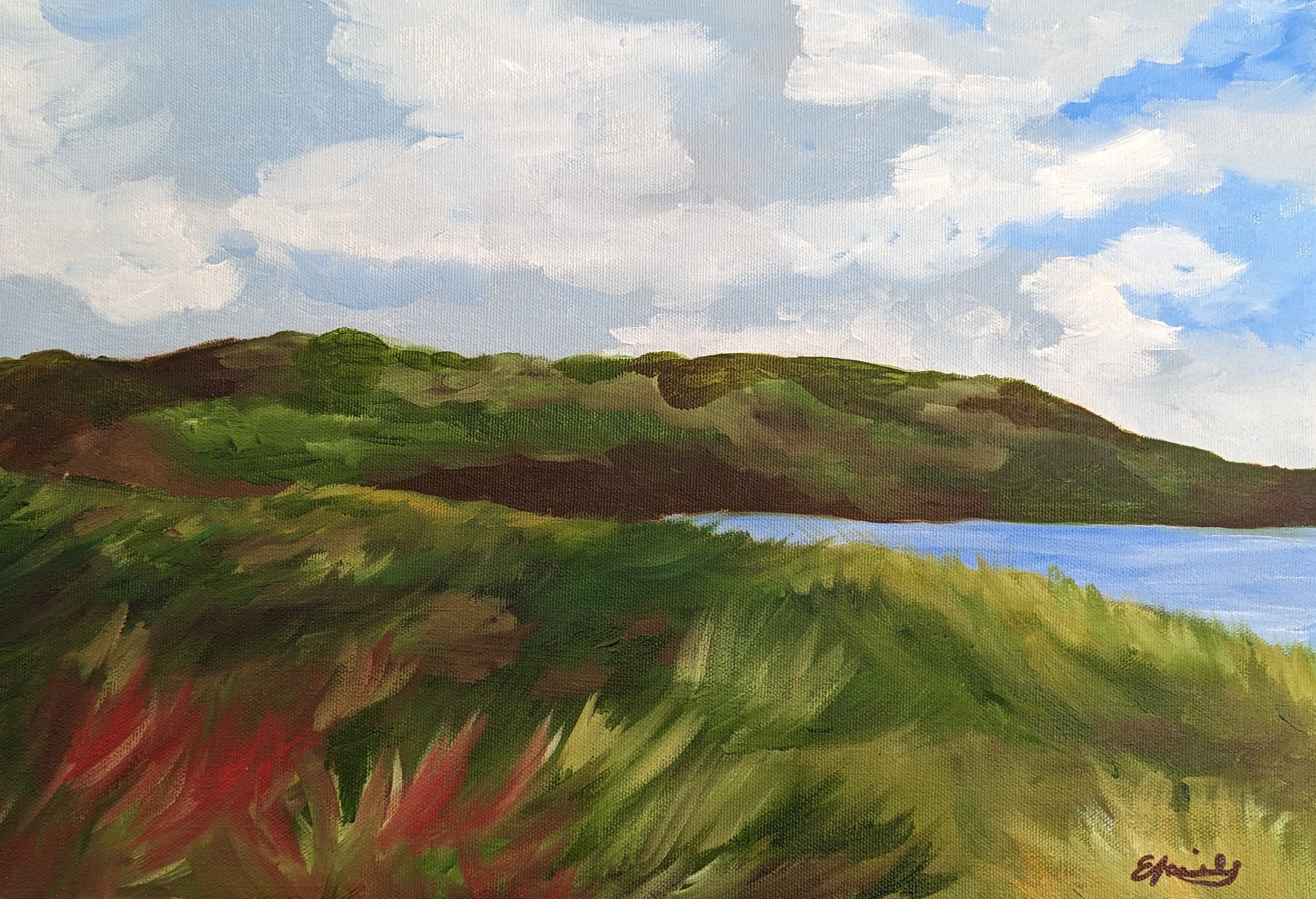 View from Borth Sand Dunes 2022