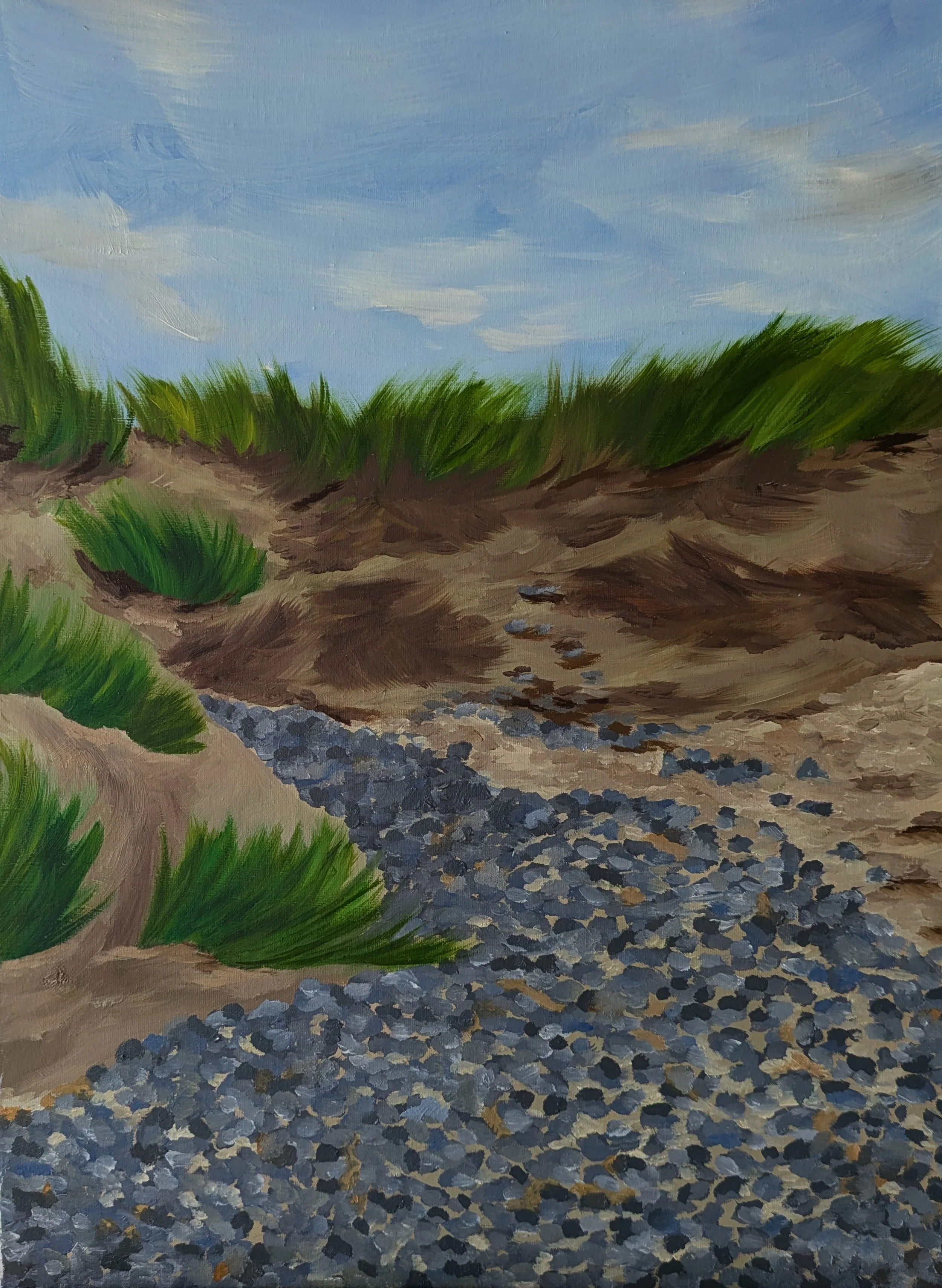 Borth Sand Dunes 2022
