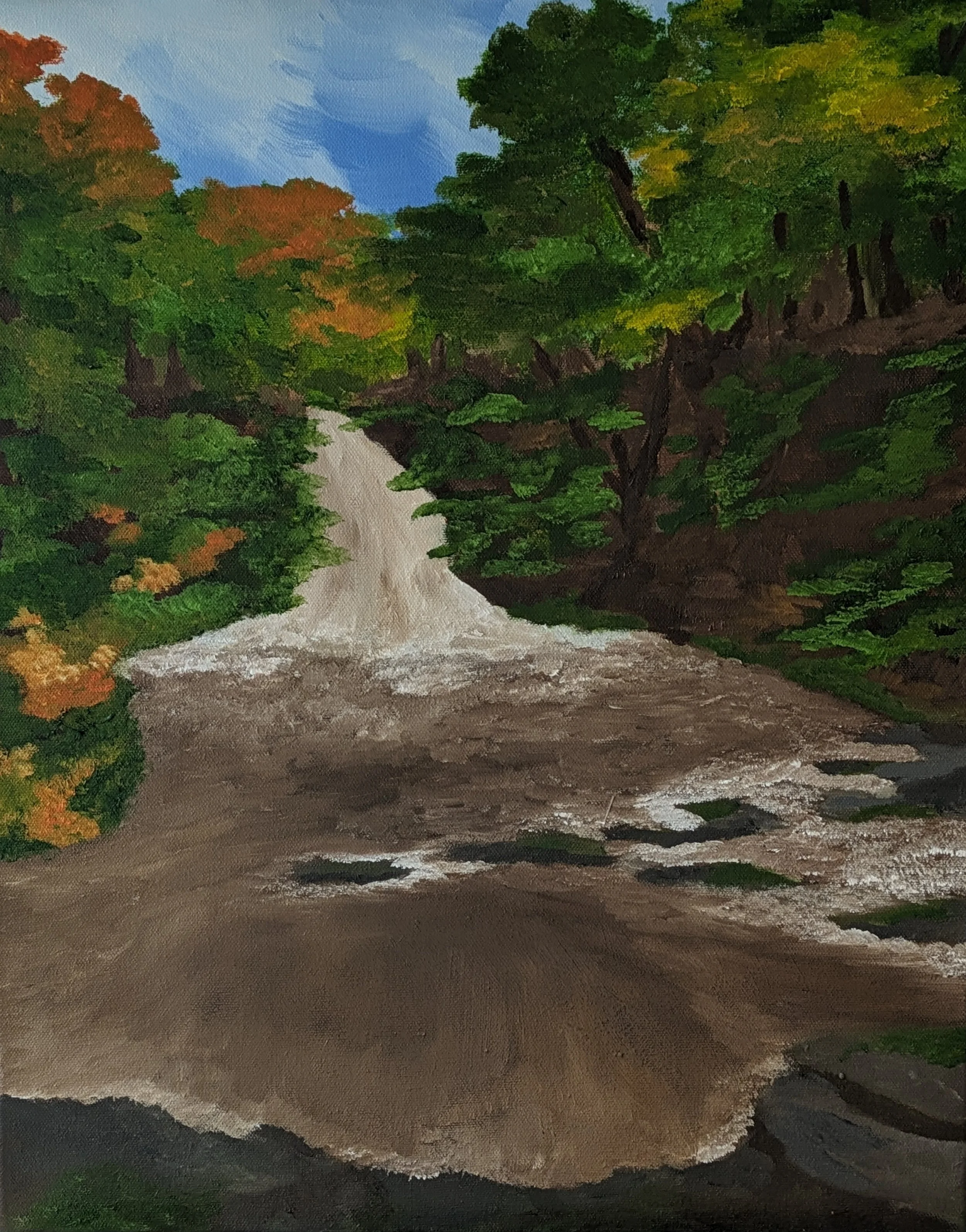 Waterfall, Hafod Estate 2024 