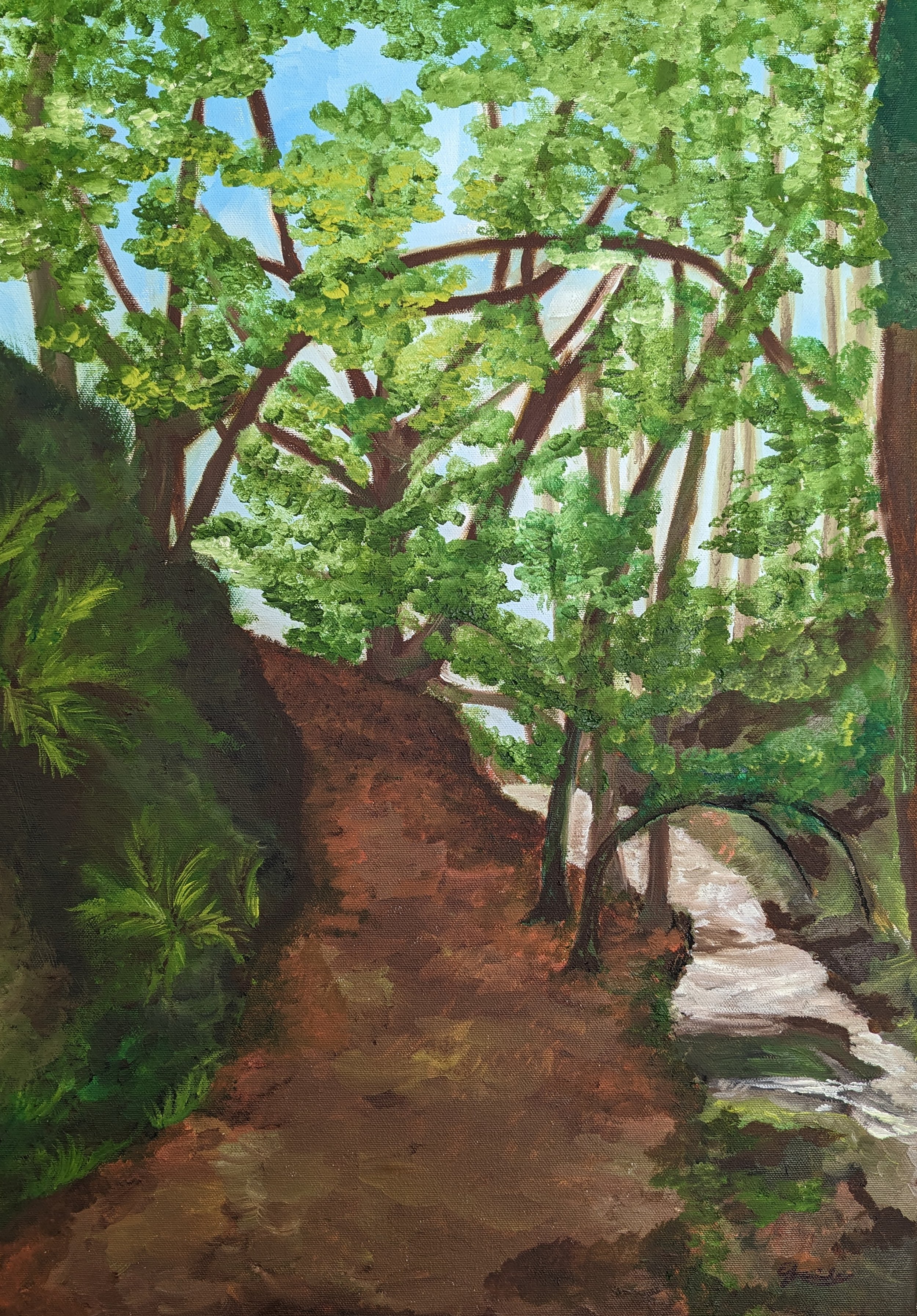 Hafod Estate Forest 2022