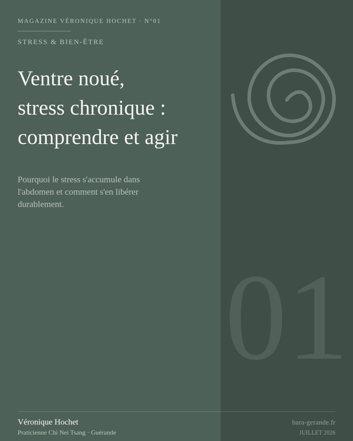 Ventre noué, stress chronique : comprendre et agir"
