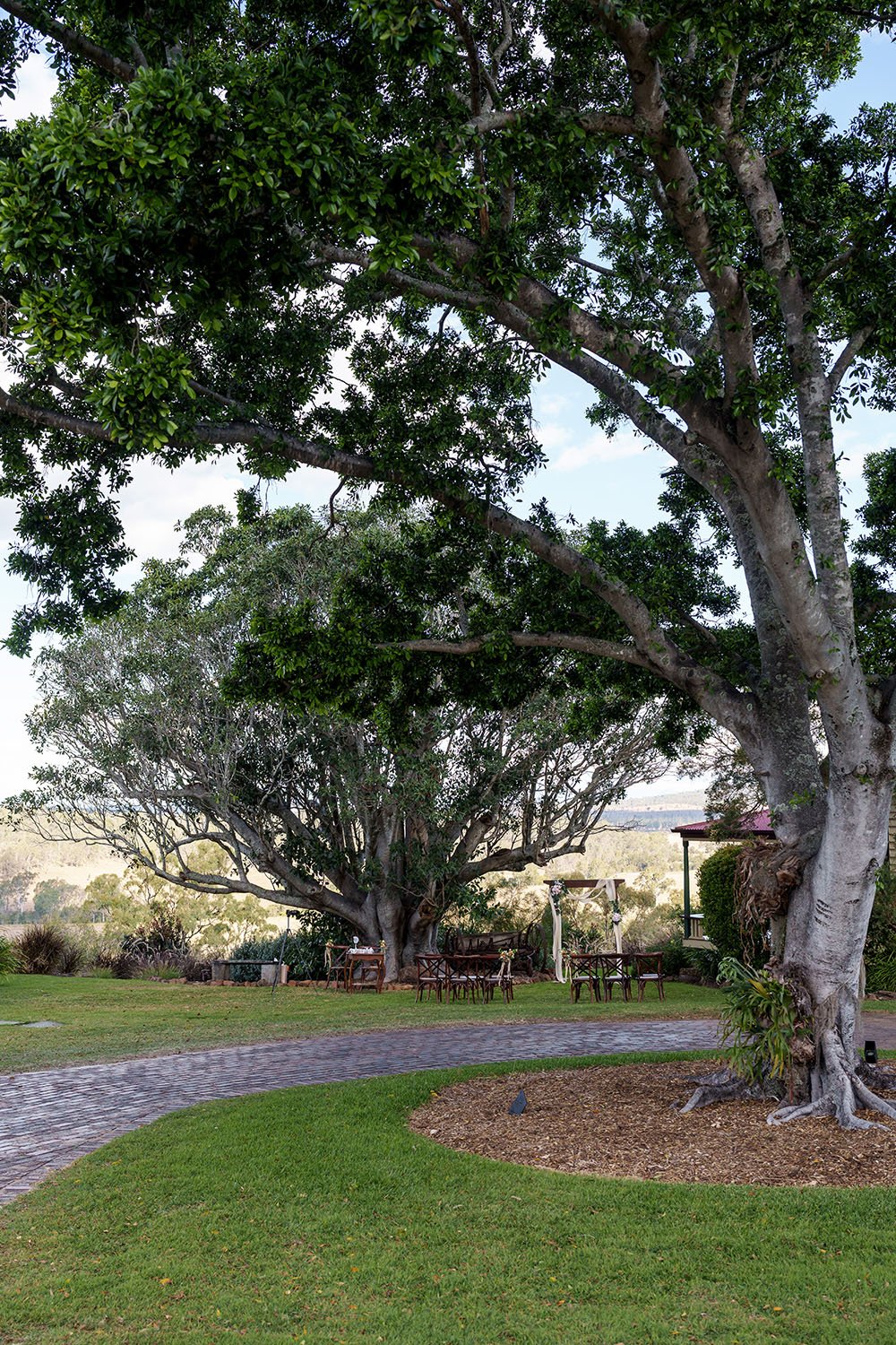Flora and Eric wedding ceremony under s big tree