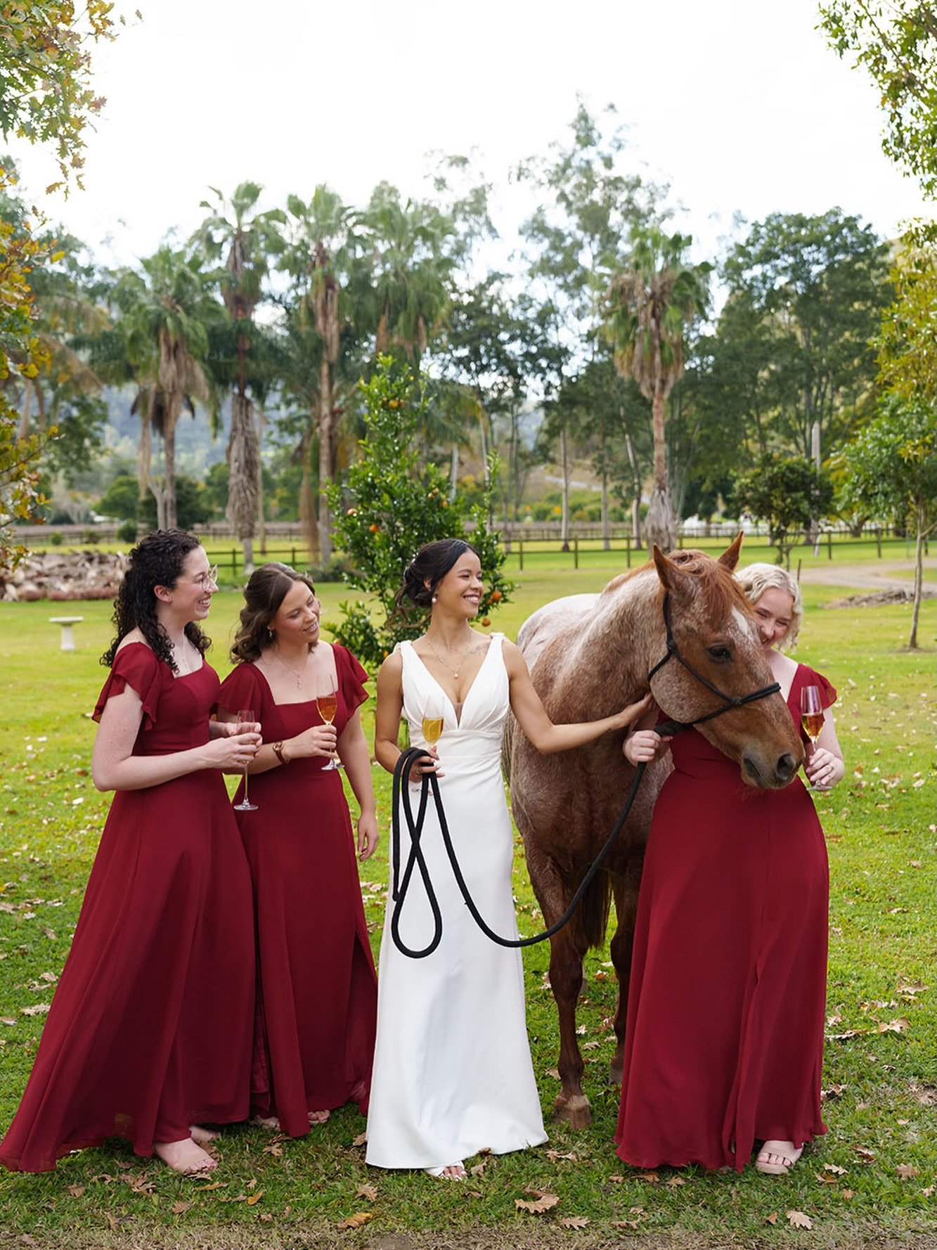 Some hellos don&rsquo;t need words, just a gentle nuzzle 🐴🤍

#brisbaneweddingphotographer 
#brisbaneweddings 
#brisbaneweddingphotography