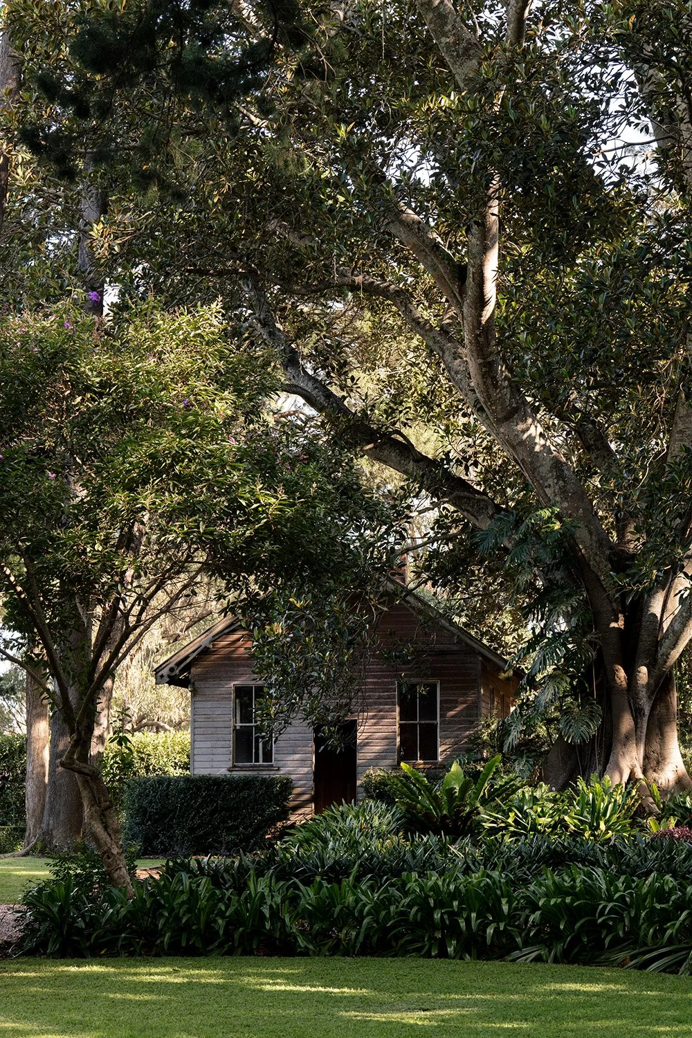 house and trees in Gabbinbar Homestead