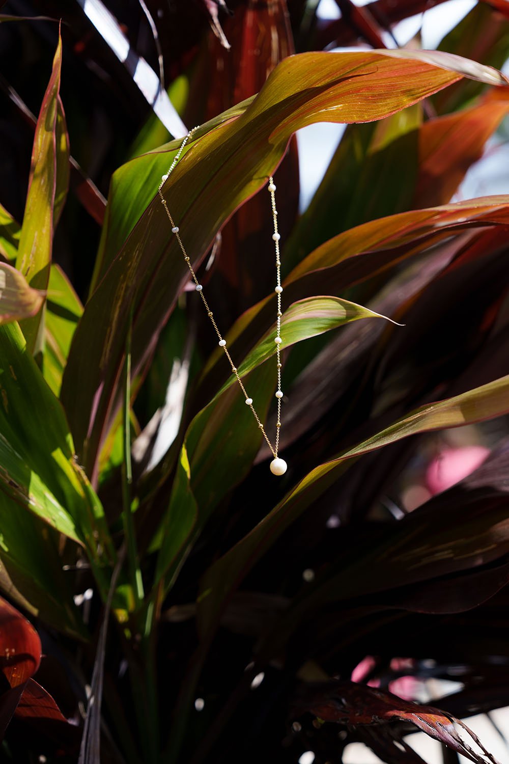 Jasmin's necklace hanging on the plants