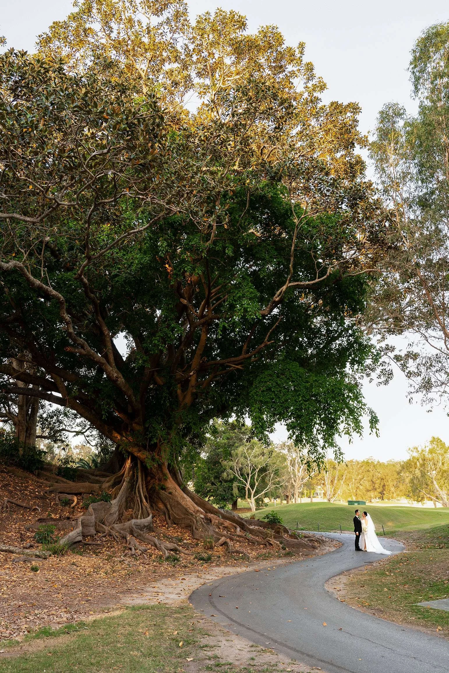 Wendy and Alex facing to each other and standing next to a big tree