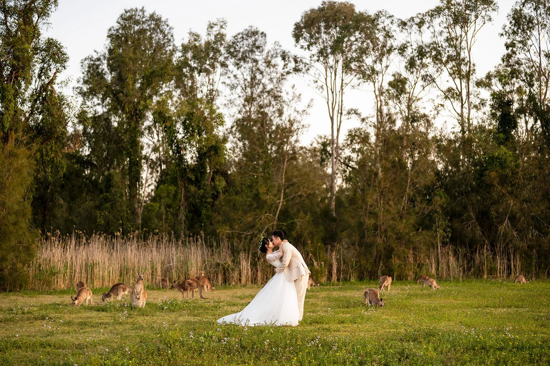 Cosine and Timi dipp kissing with kangaroos behind them