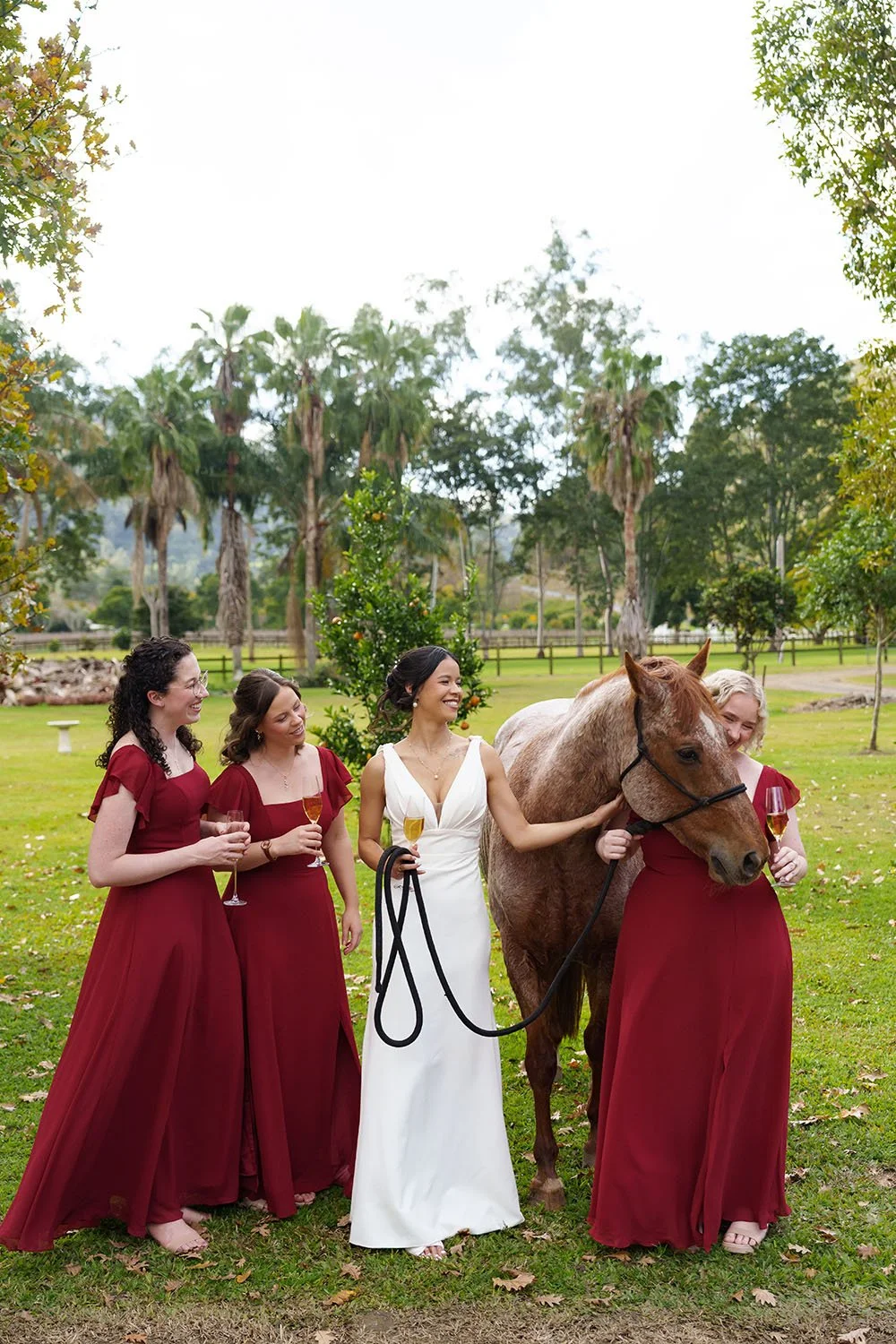 a horse small to one the brides mate making rest of the girls laughing