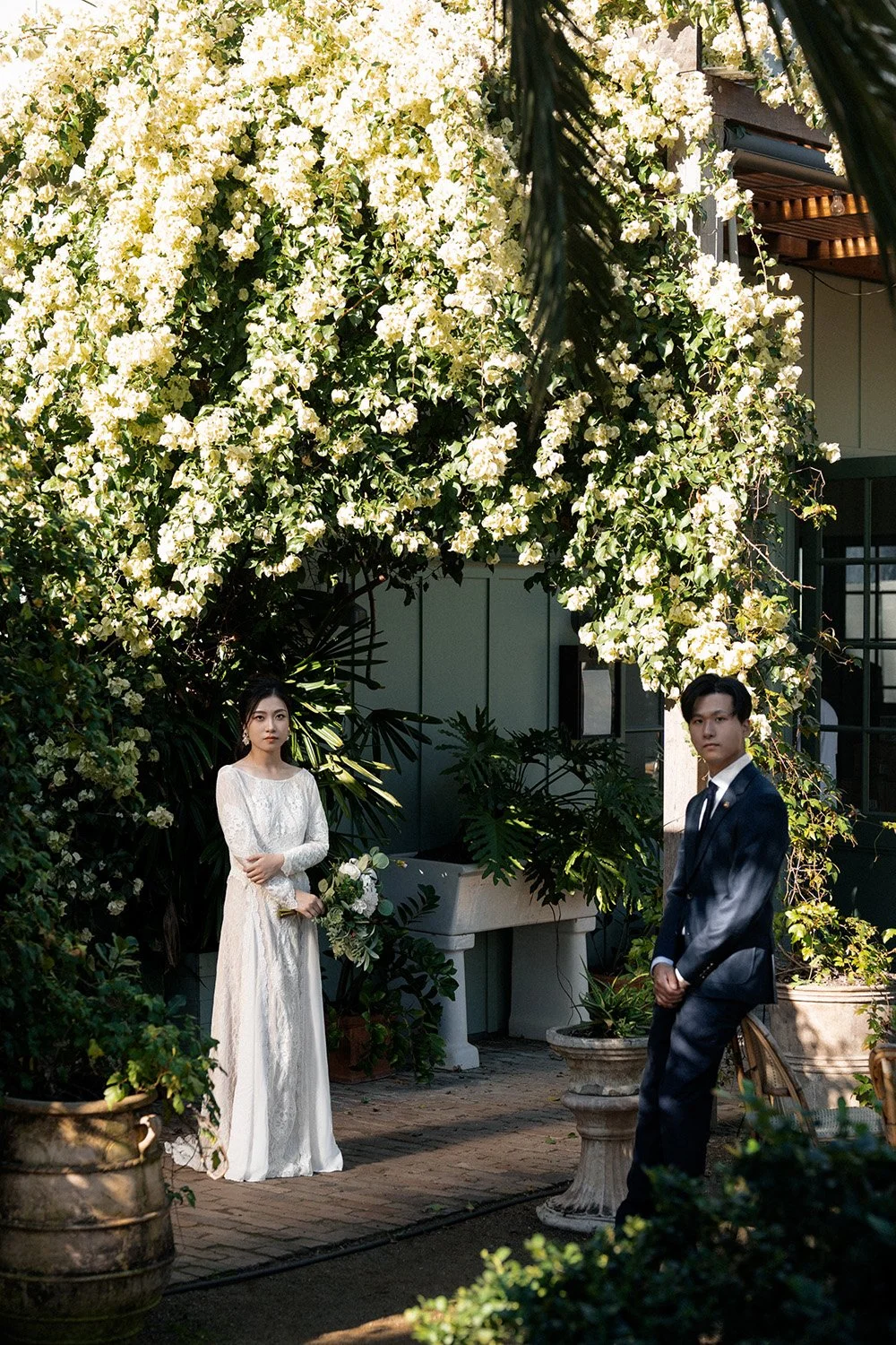 bride and groom look the Brisbane wedding photographer Whistler in Wilson Outlook Reserve under some flower tree