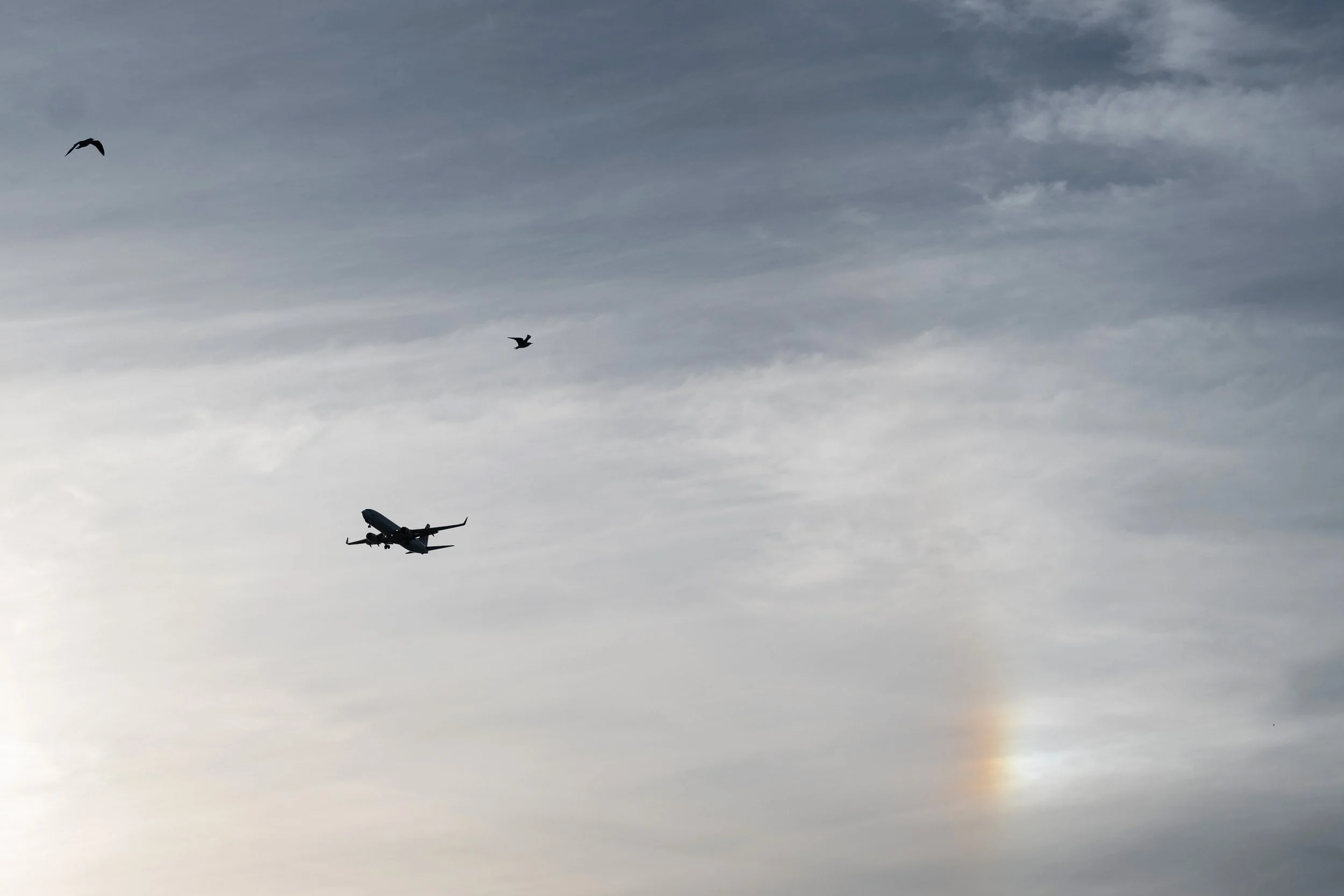 airplane, two birds and a rainbow