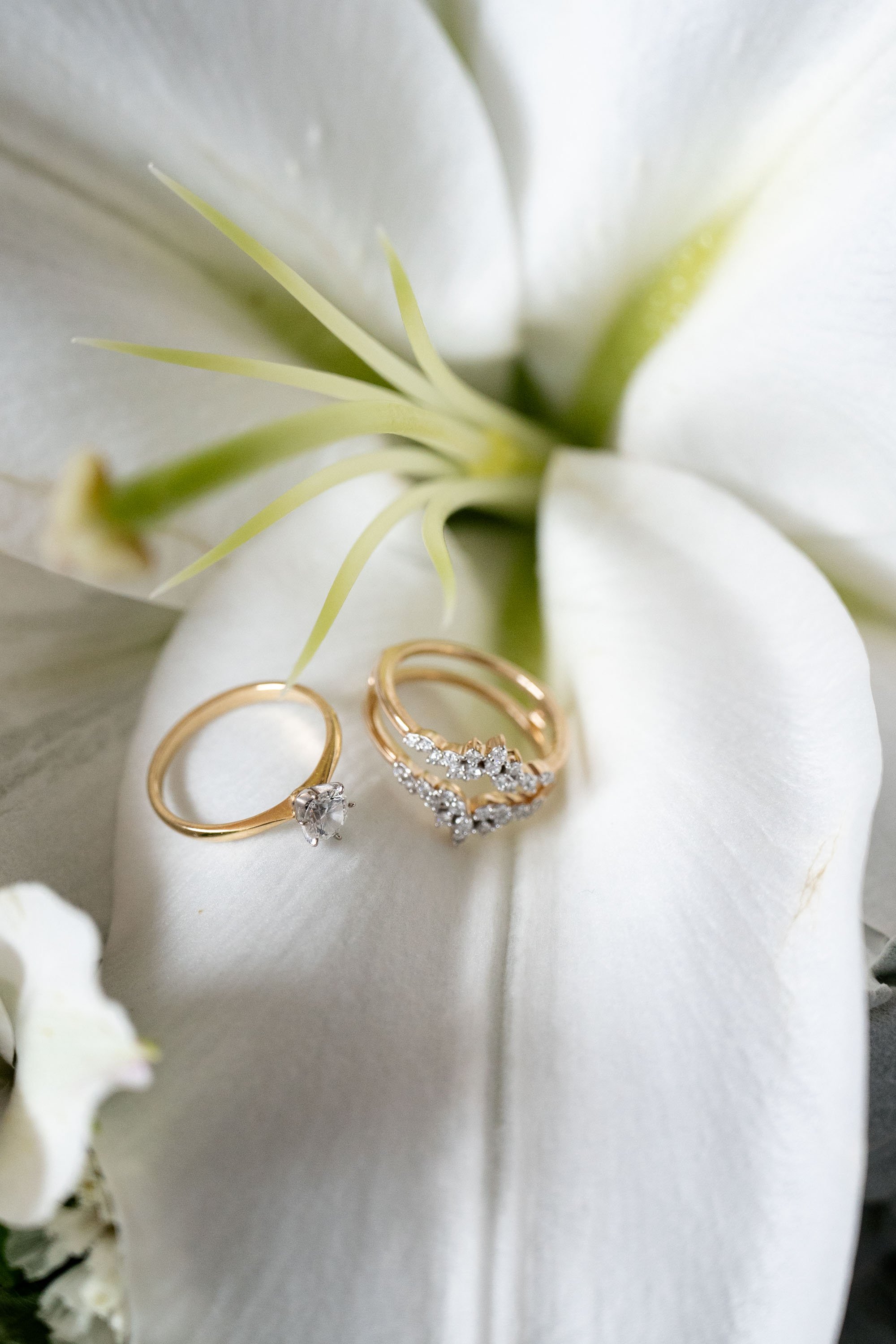 Kyra's wedding ring and engagement ring placed delicately on a lily, symbolizing purity and beauty, with the rings reflecting the love and commitment of her wedding day