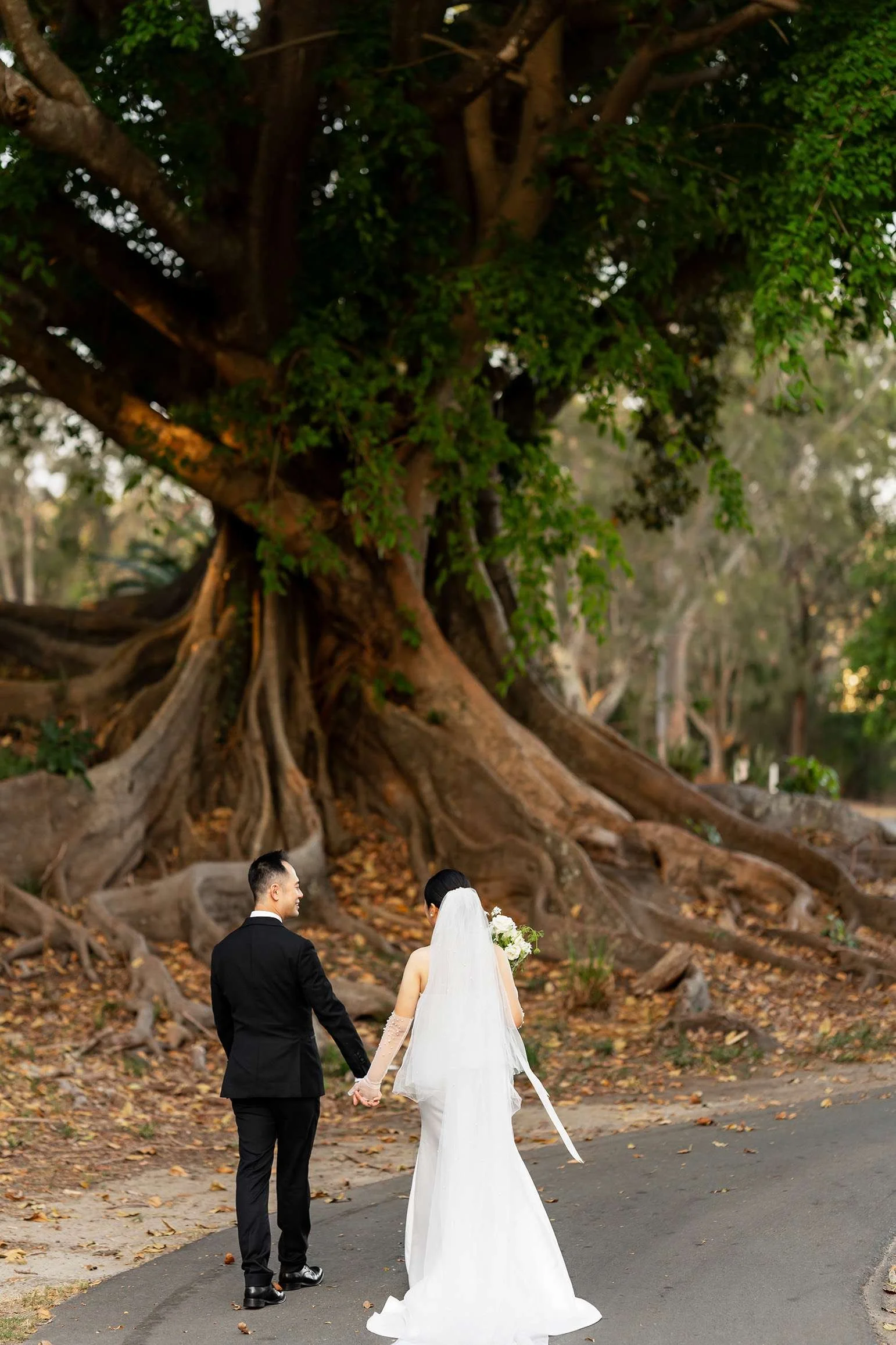 Wendy and Alex hold hands walking towards to a big tree
