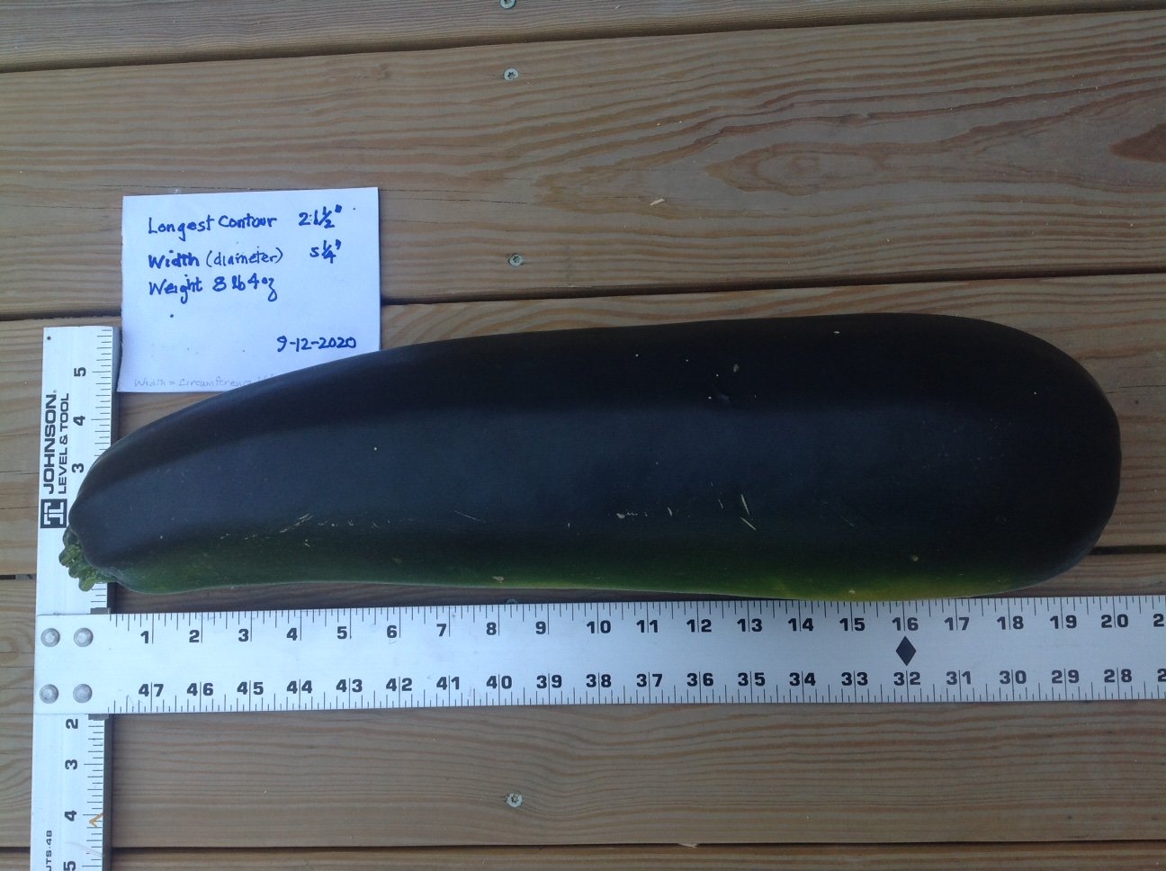 A large dark green zucchini placed on a wooden surface alongside a ruler and a handwritten note providing its measurements and weight.