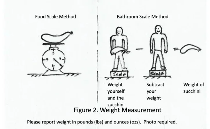 Comparison of food scale and bathroom scale methods for measuring zucchini weight, showing how to subtract zucchini weight from total weight to get the food's weight.