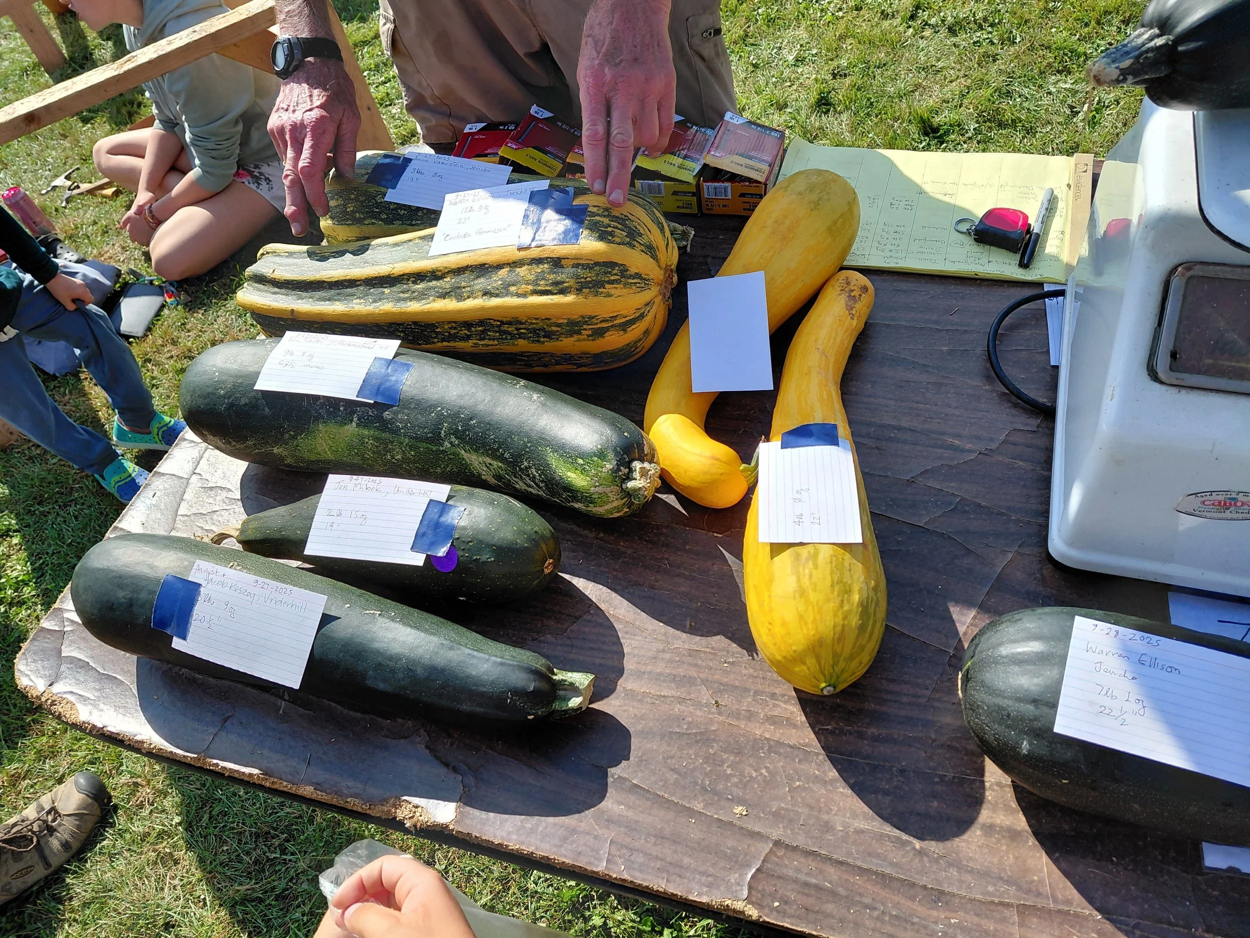 Various squash and zucchini with handwritten labels and notes on notes or pieces of paper taped to them, arranged on a wooden surface. People are nearby, and green grass is in the background.