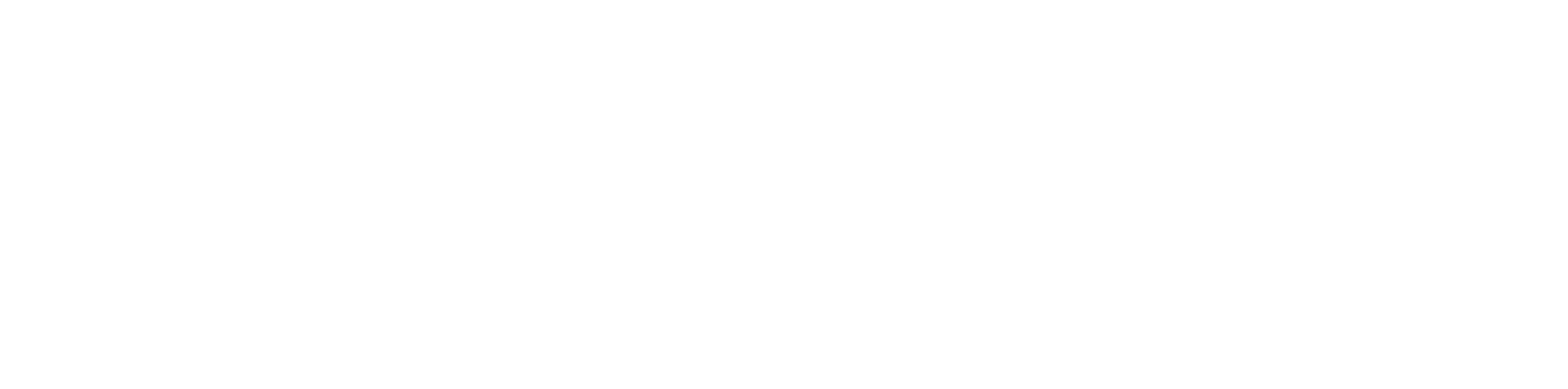 Logo for Racing Snake Media, outlining the key services: Digital creative media.