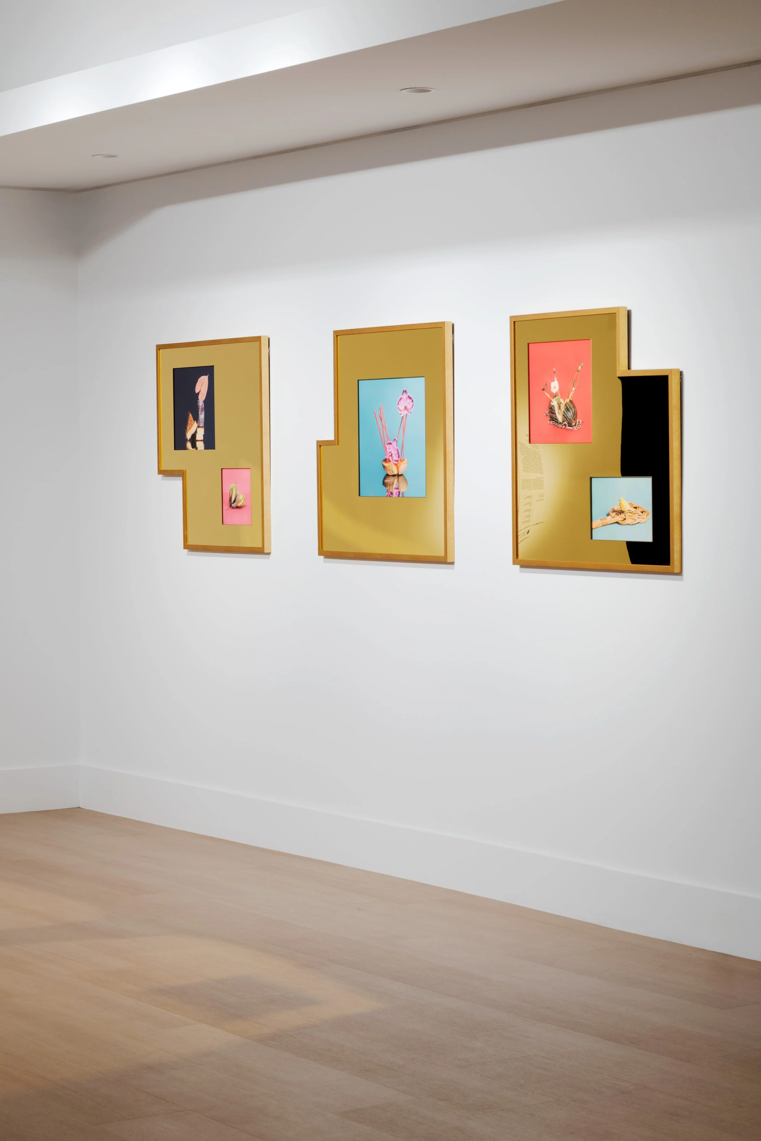Joondalup Invitation Art Prize_Docuemntation_AC_Print Res_145.jpg