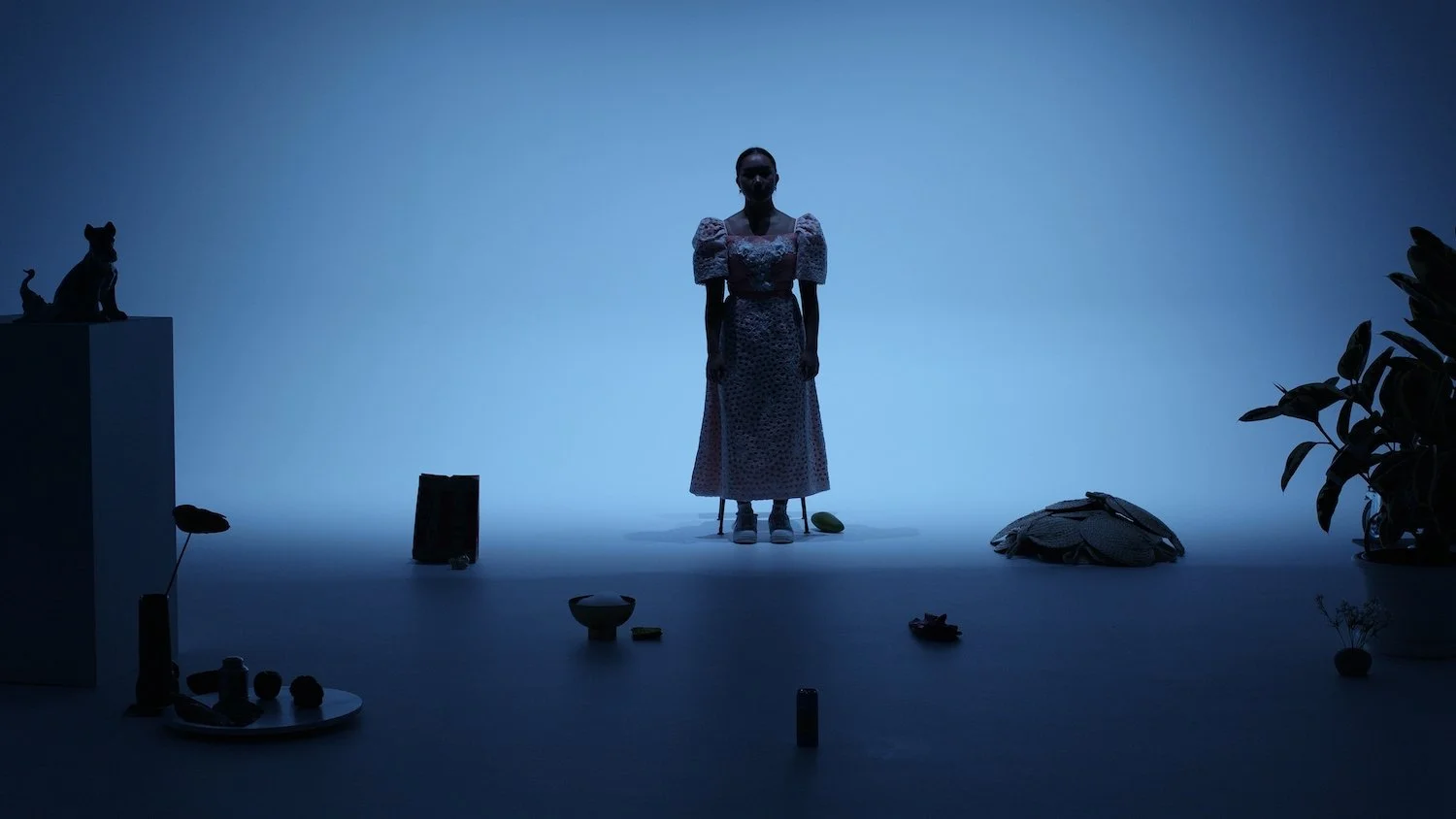 APOFD_still2.jpg