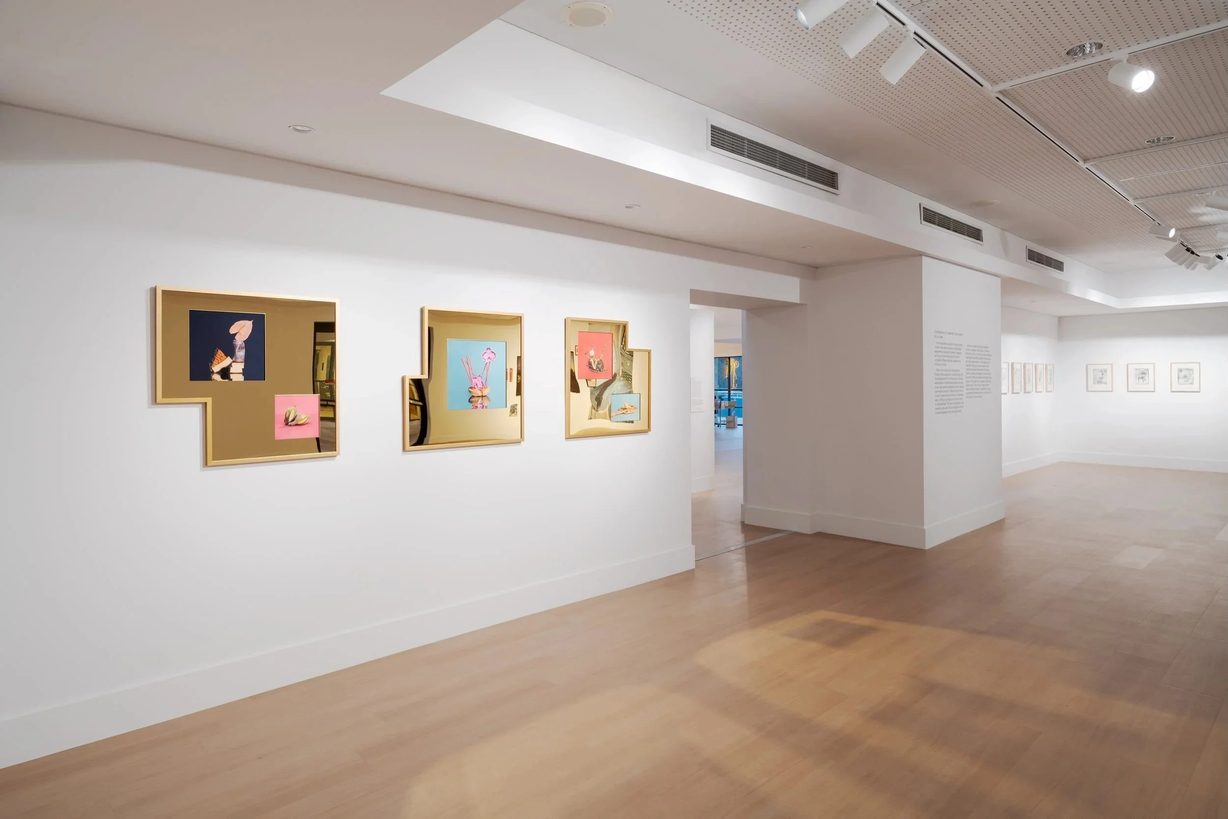 Joondalup Invitation Art Prize_Docuemntation_AC_Print Res_140.jpg
