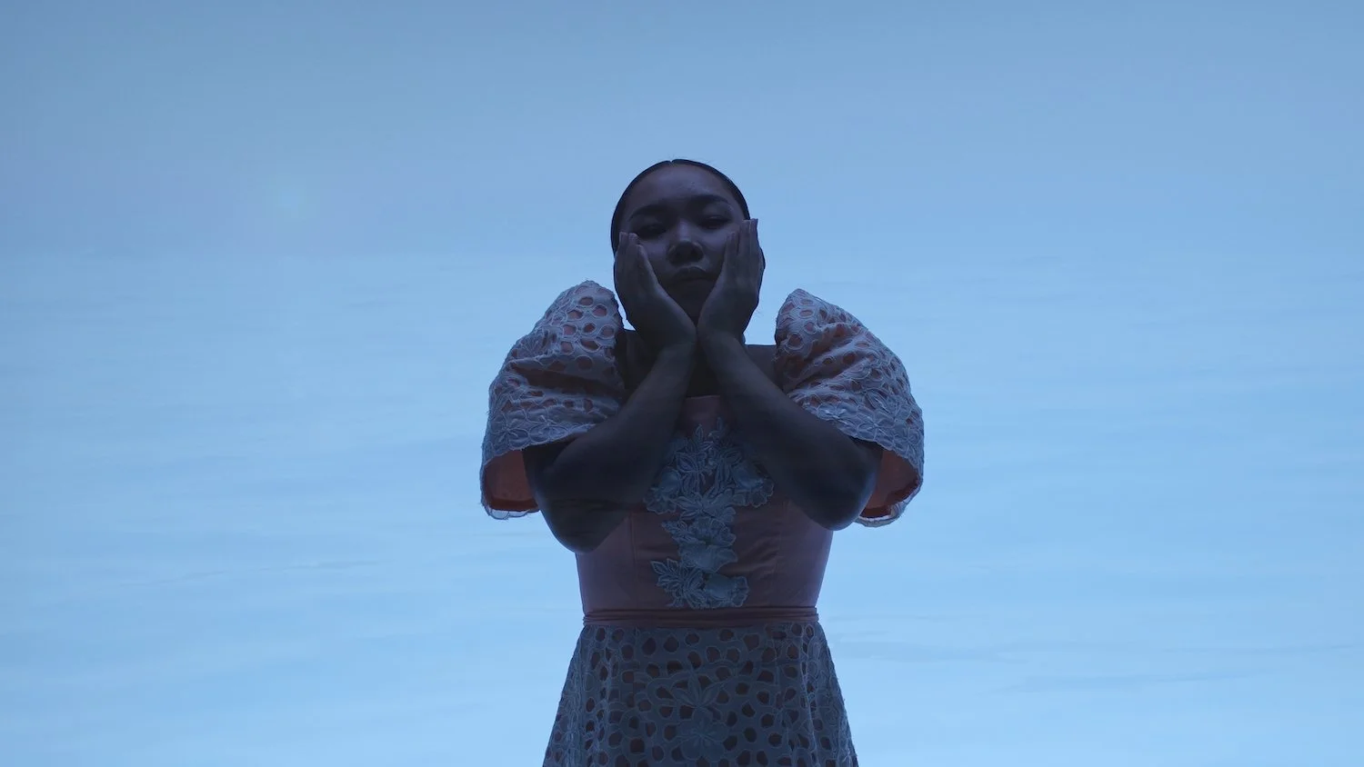 APOFD_still6.jpg