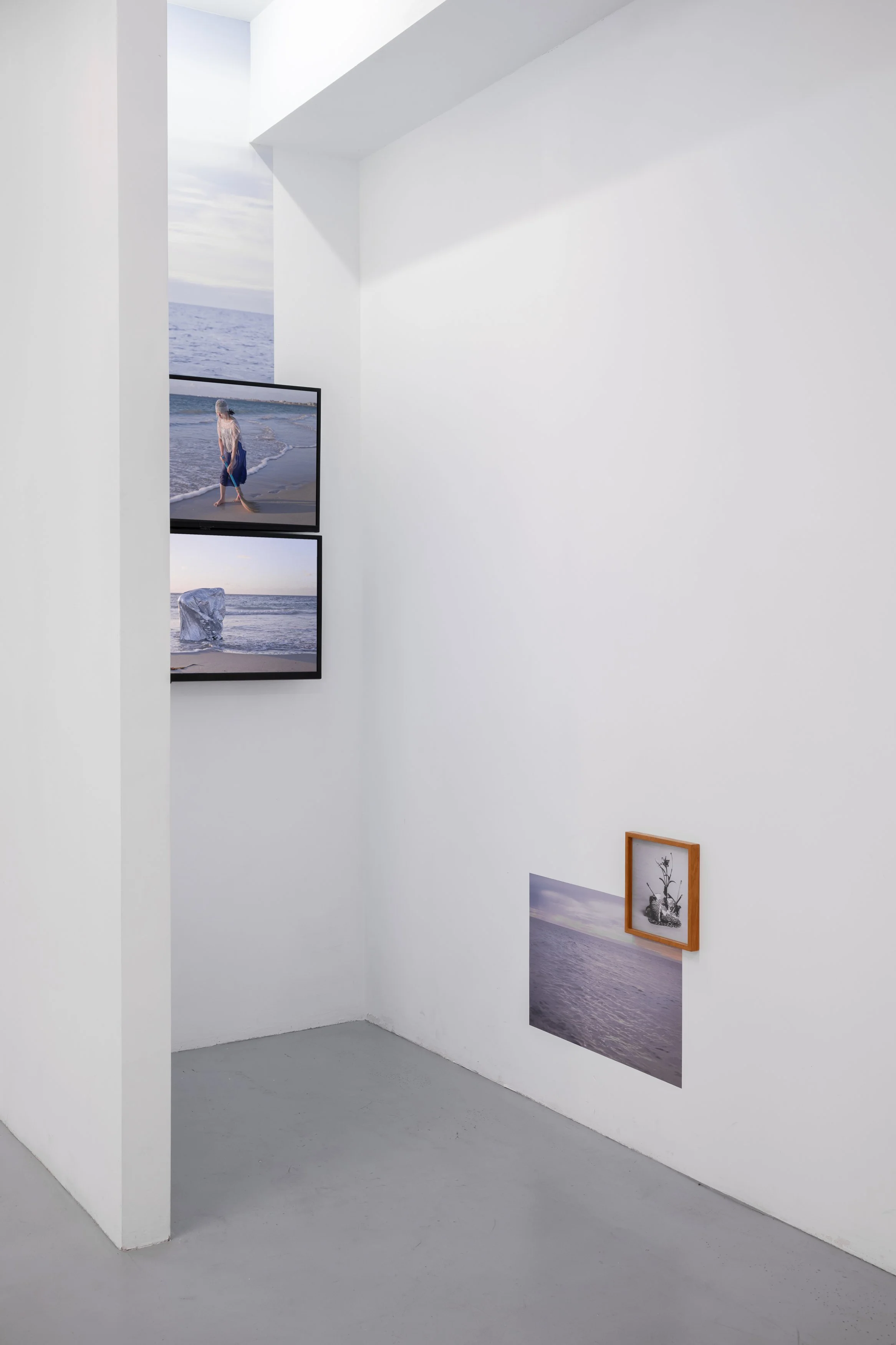 SherryQuiambao_KINGS-Artist-Run_2026_Install-Documentation_PhotoBySebastianKainey_3500px-3.jpg