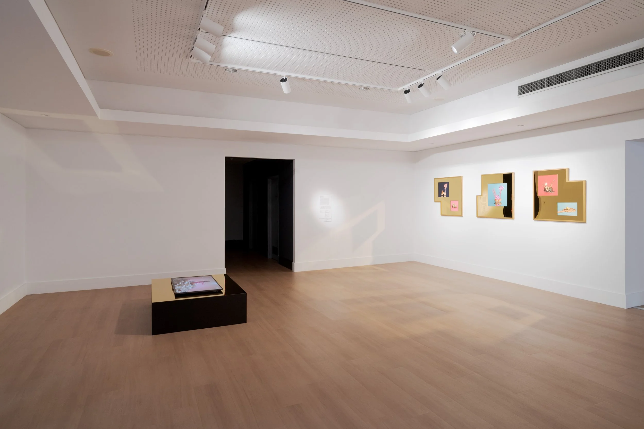 Joondalup Invitation Art Prize_Docuemntation_AC_Print Res_126.jpg